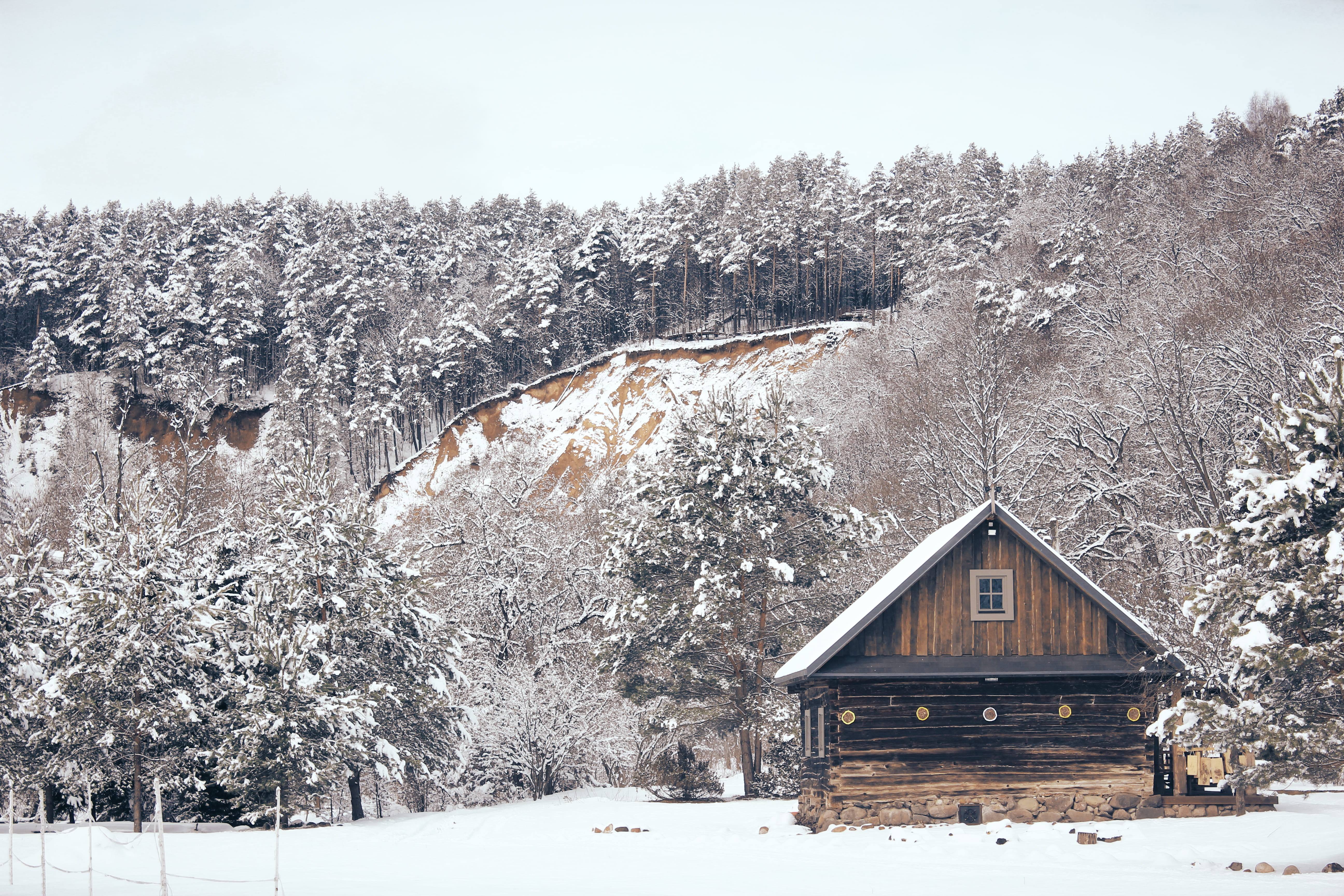 land, lithuania, architecture, extreme weather, non-urban scene, trees, plant, snow, snowcapped mountain, winter, landscape, woodland, built structure, HD Wallpaper