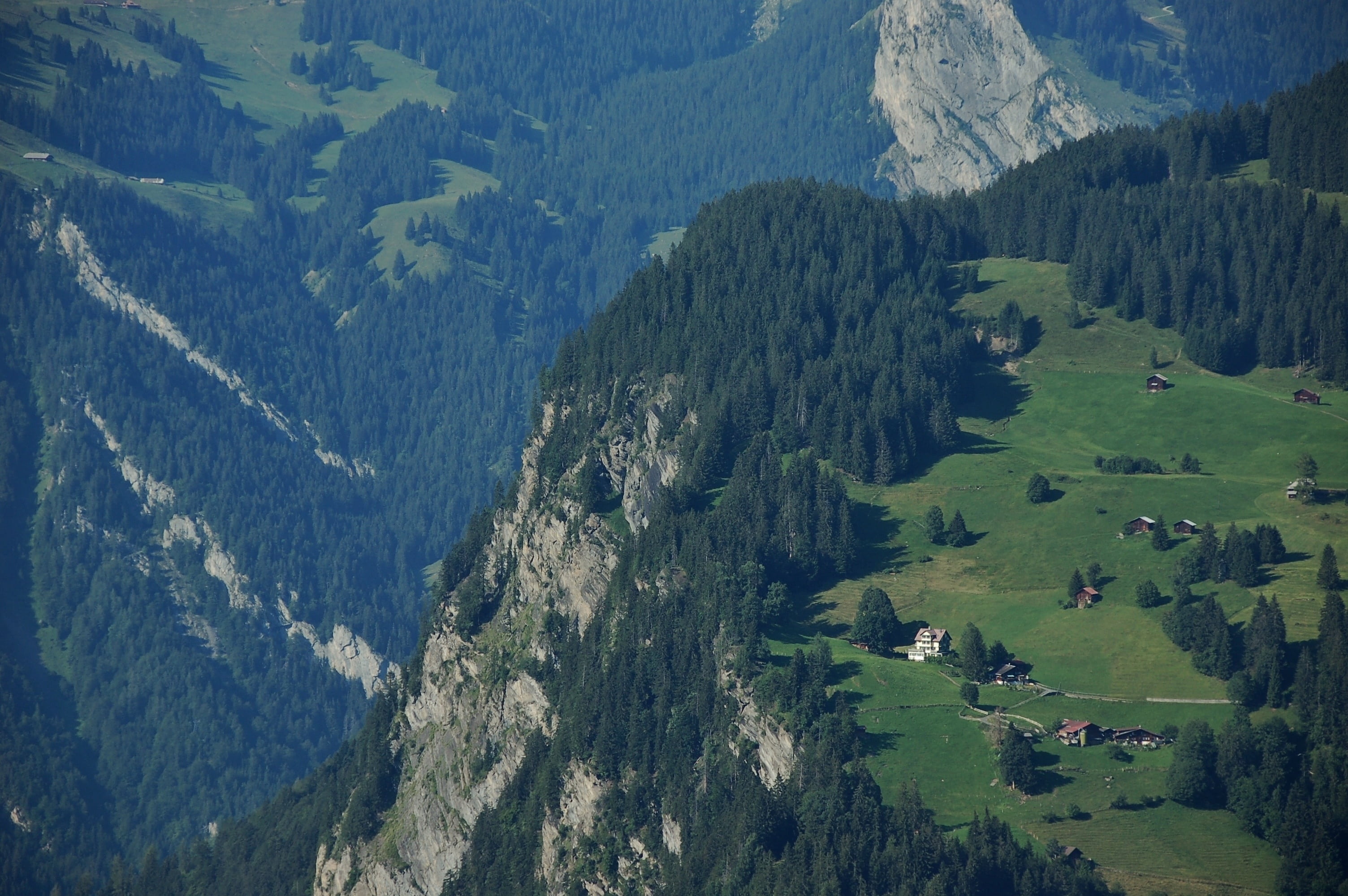day, mountain peak, plant, top, nature, cliff, scenic, neighborhood, trees, houses, aerial view, beauty in nature, aerial, grass, tranquil scene, high angle view, HD Wallpaper