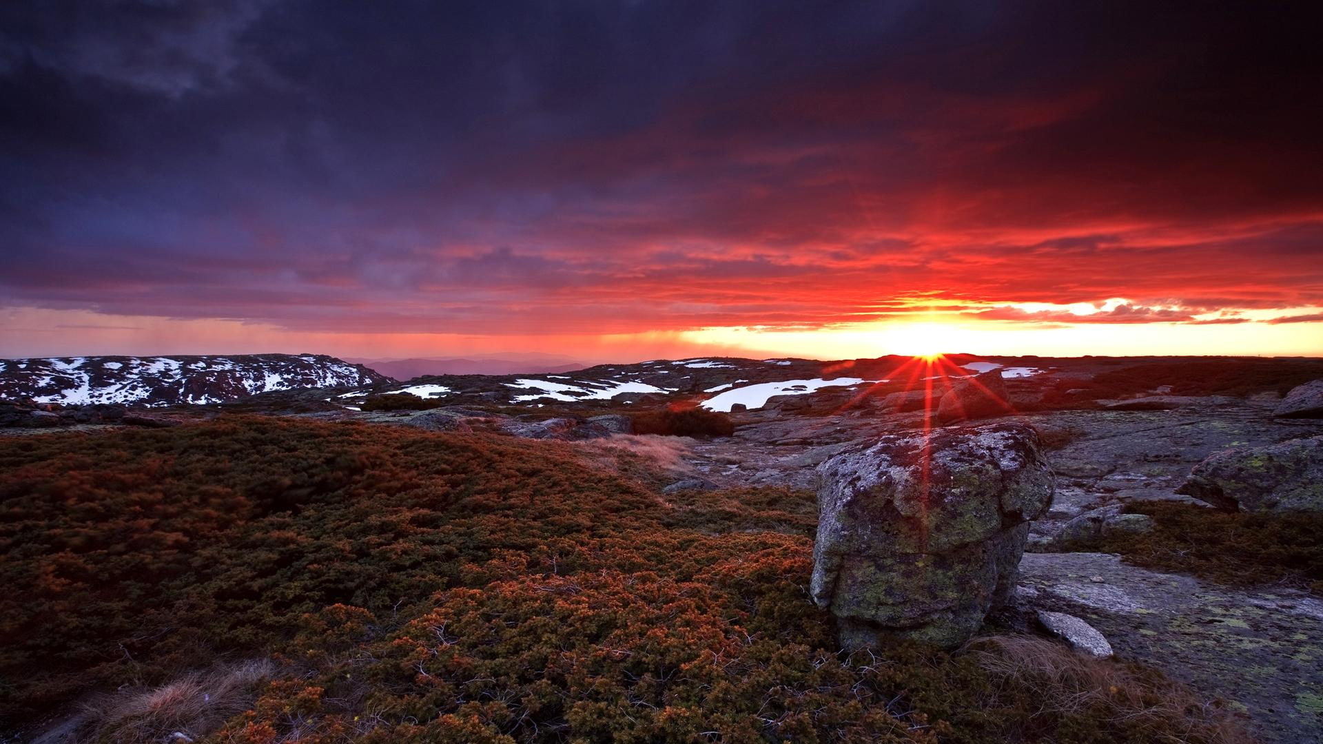 1080P, portugal, plants, sunset, dawn, hills, hilltop, red sky, 3d and abstract, rocky, HD Wallpaper