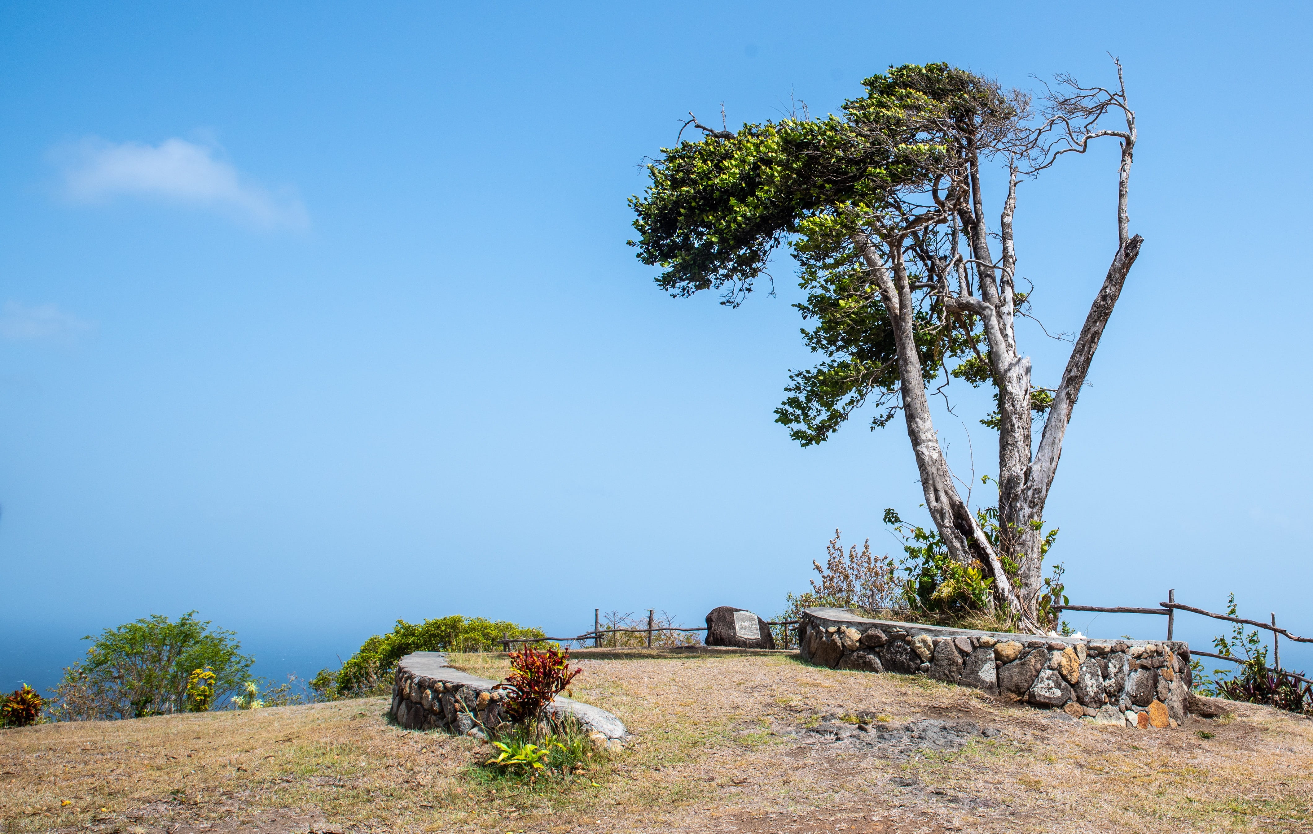 beauty in nature, landscape, tree, day, sky, hilltop, bequia, no people, monument, 4K, plant, tranquil scene, tranquility, blue, sunlight, field, non-urban scene, HD Wallpaper