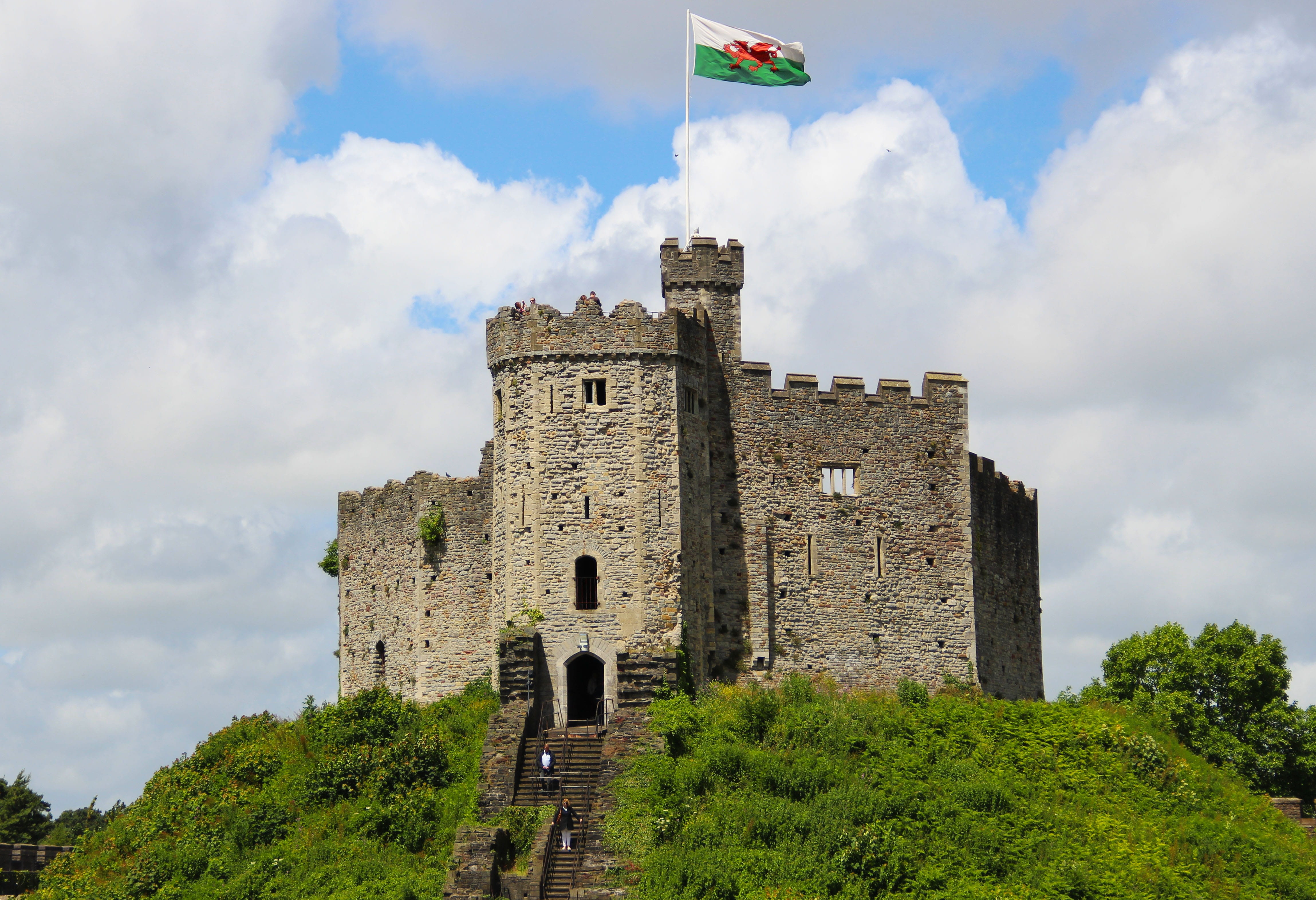 sky, green color, flag, nature, plant, tower, low angle view, Old, exterior, fortress, building, ancient, sightseeing, tree, hill, historic, Hilltop, landmark, HD Wallpaper