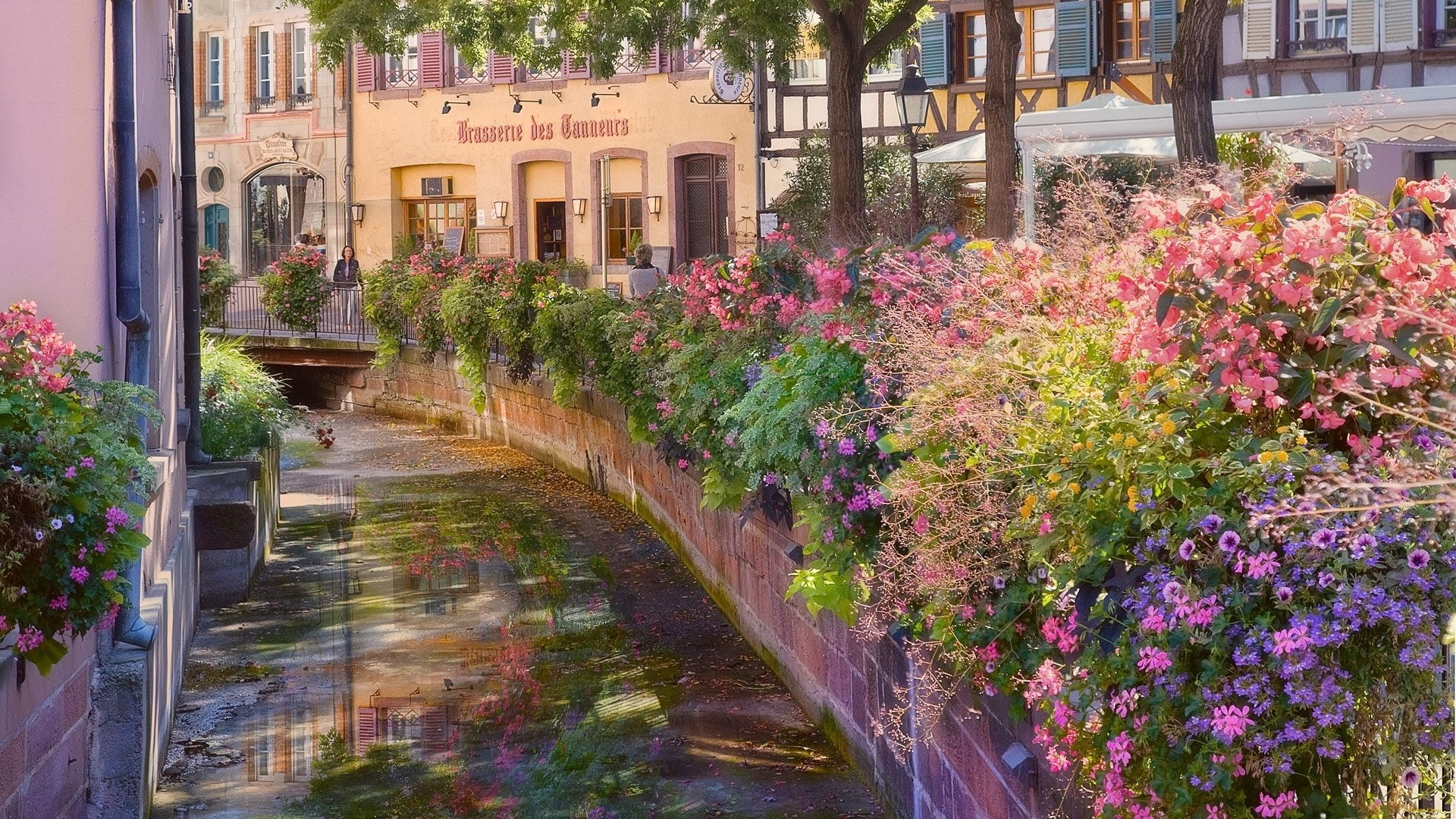 Artistic, France, Colmar, 1080P, Place, Alsace, HD Wallpaper