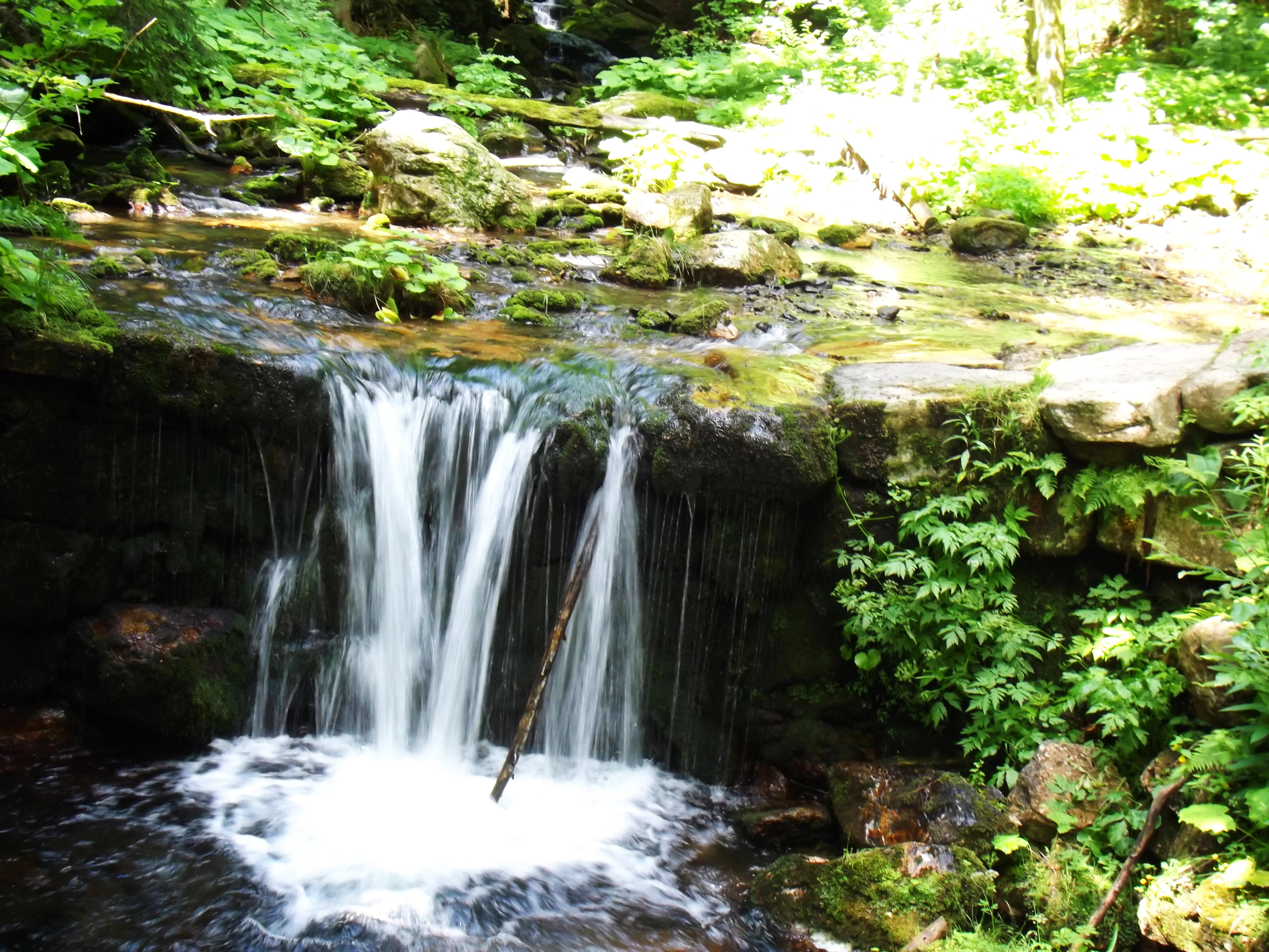 motion, flowing Water, beauty In Nature, flowing, day, nature, scenics, power in nature, no people, solid, forest, rock, scenics - nature, falling, river, HD Wallpaper