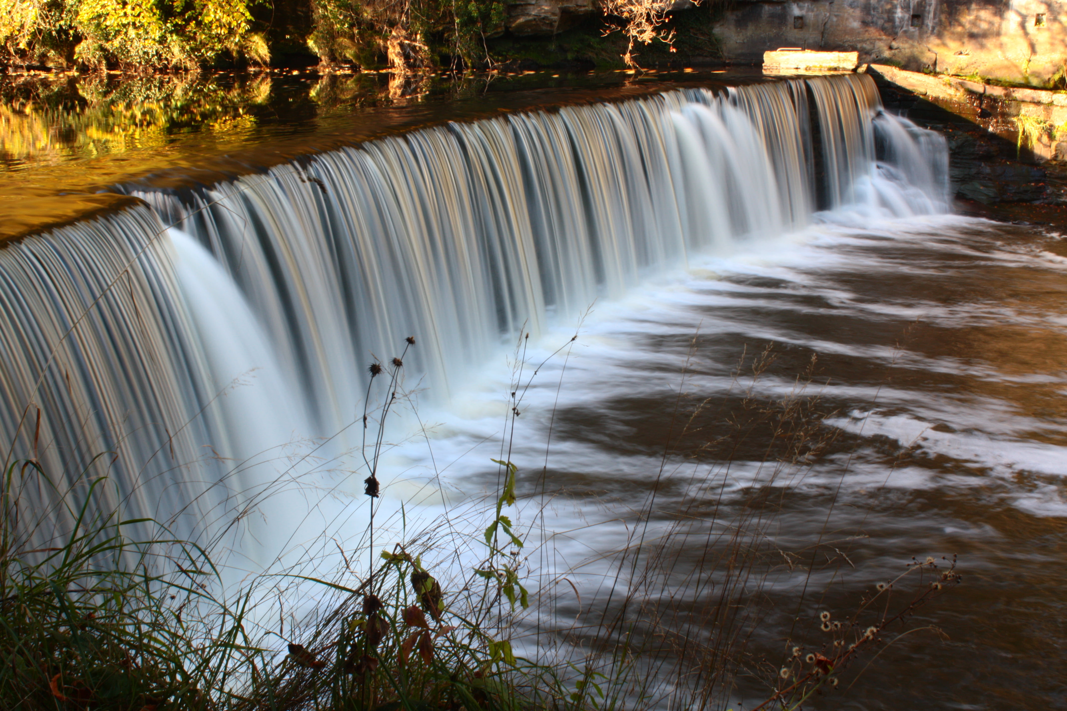 plants, surrounded, trees, Waterfall, falling, 4K, scenics, green leaf, river, weir, countryside, outdoors, forest, dam, photography, stream, Water, nature, HD Wallpaper