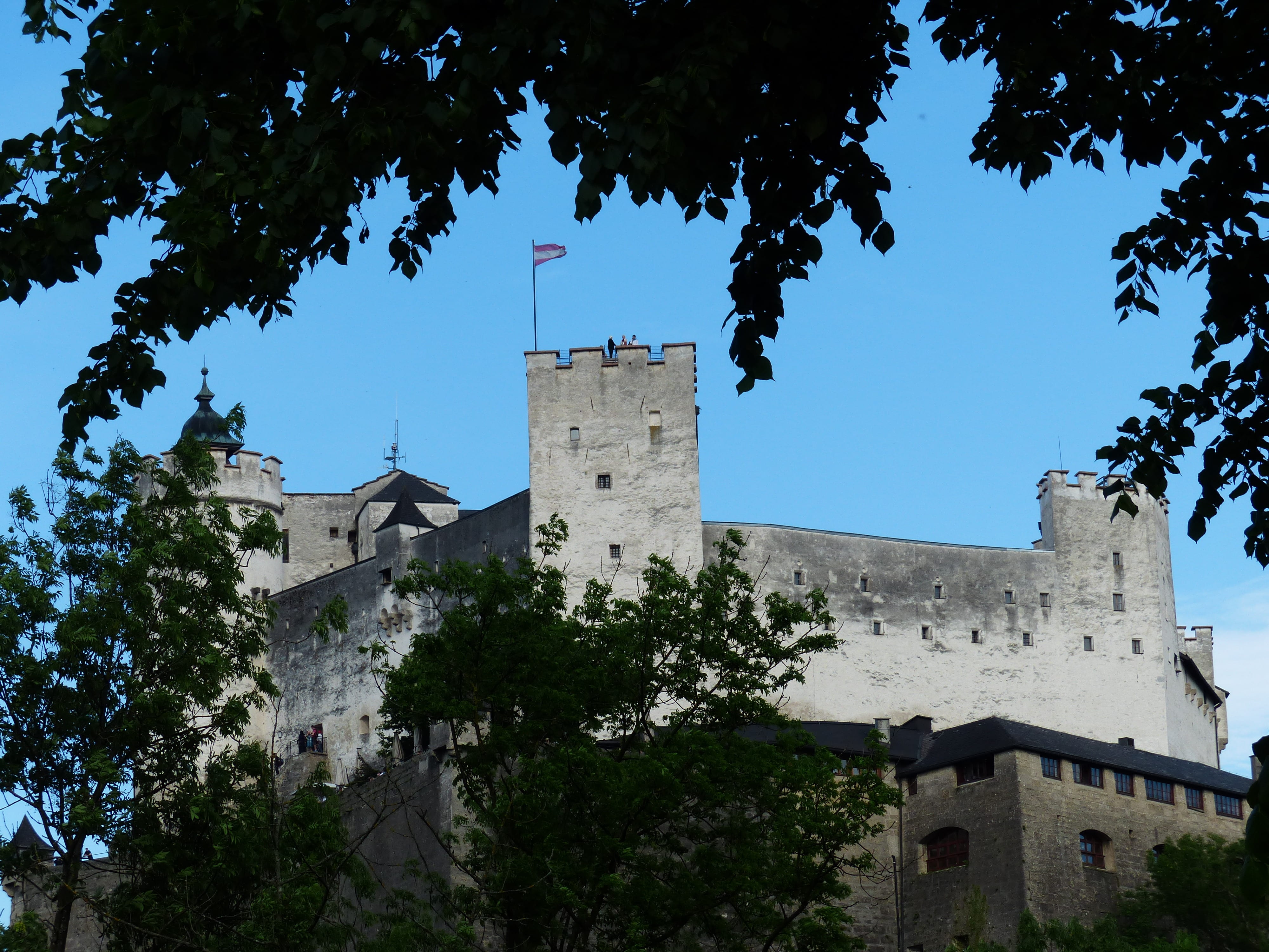 day, place of worship, plant, tree, building exterior, knights castle, sublime, nature, outdoors, enormous, fortress mountain, landmark, salzburg, old, HD Wallpaper