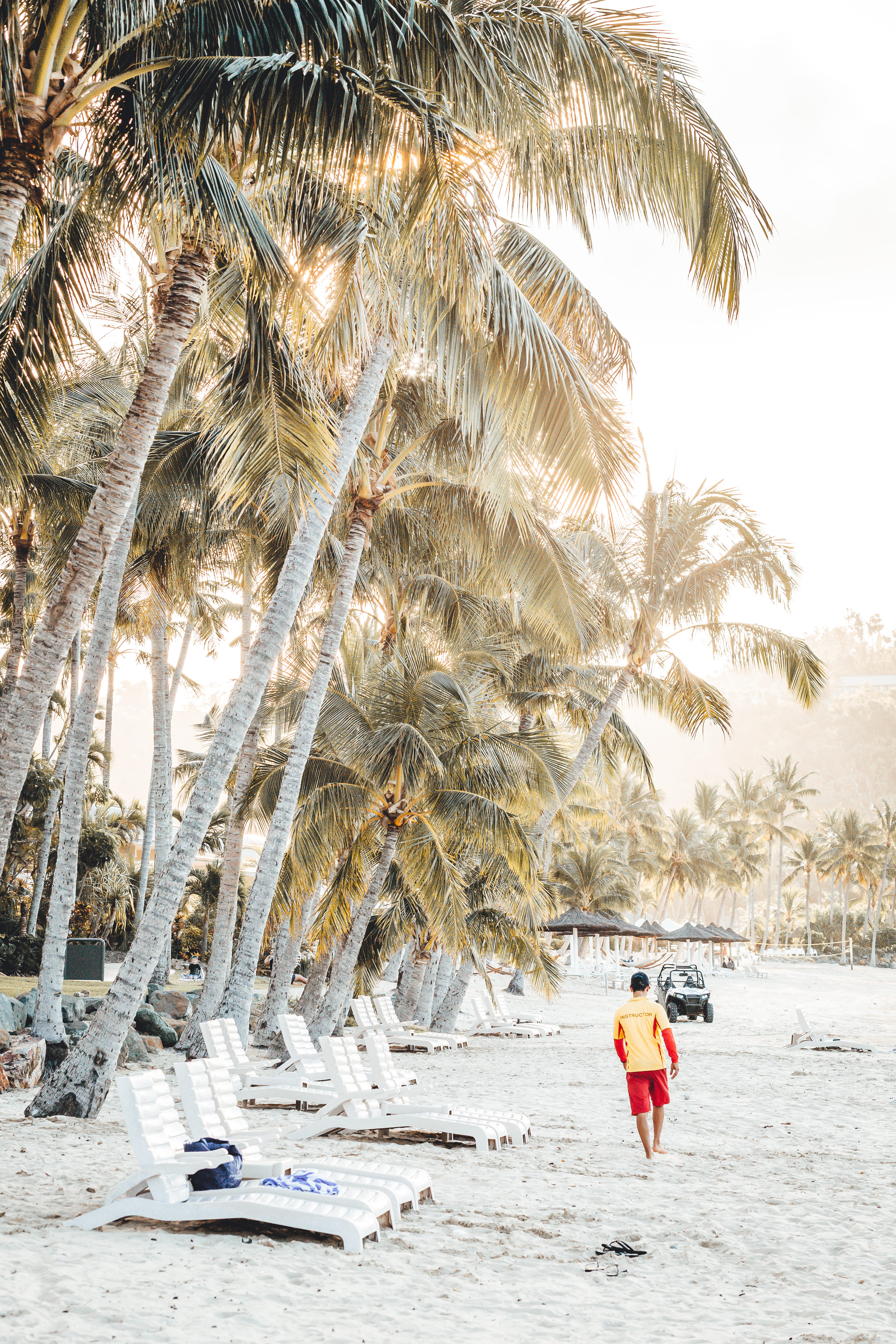 trees, sand, growth, outdoors, full length, man, men, palm tree, standing, lifestyles, shore, life guard, real people, day, tropical climate, architecture, Phone HD Wallpaper