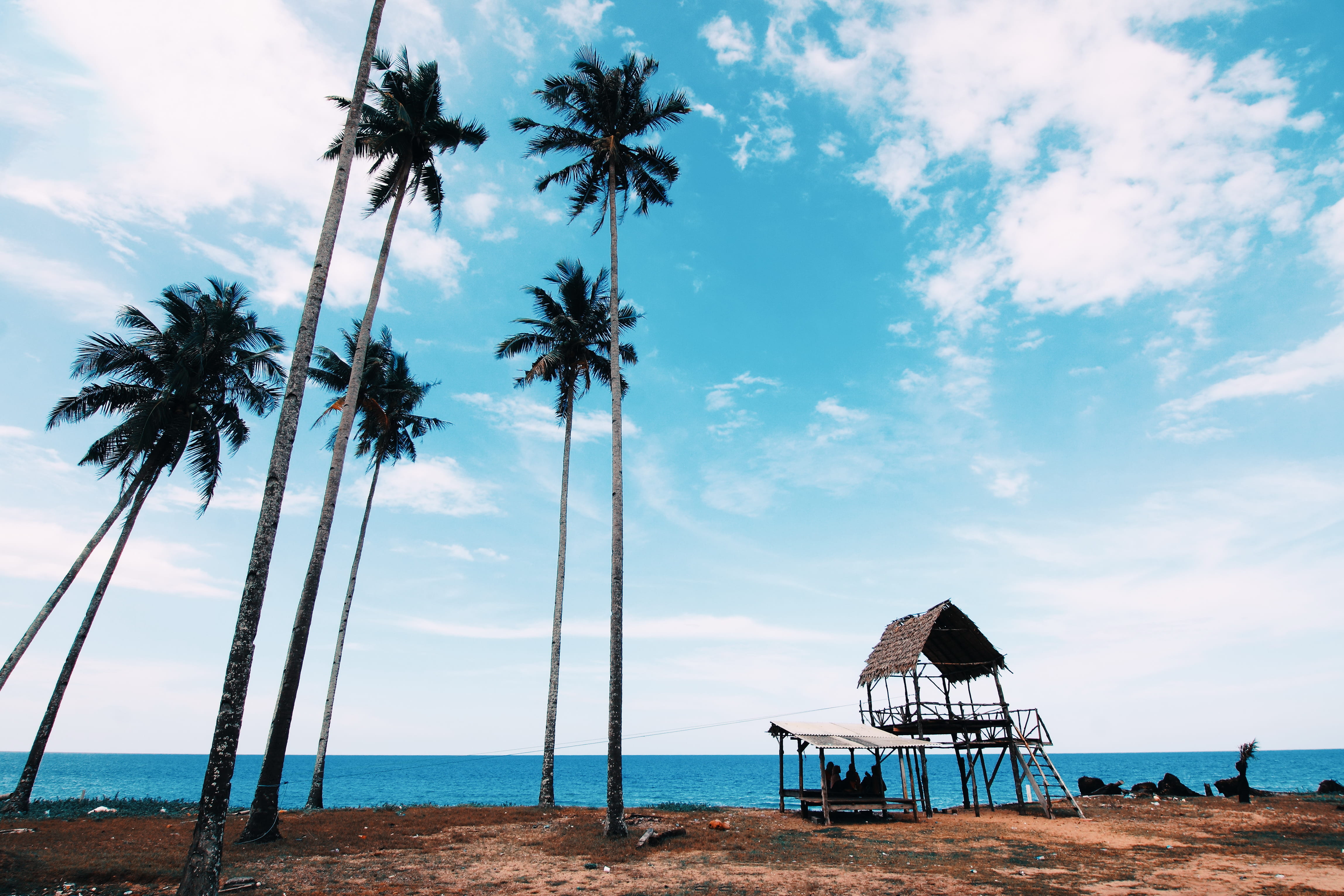 nature, life, tranquility, horizon, scenics - nature, sky, hut, horizon over water, seascape, palm trees, ocean, water, shed, beauty in nature, brown, tropical climate, HD Wallpaper