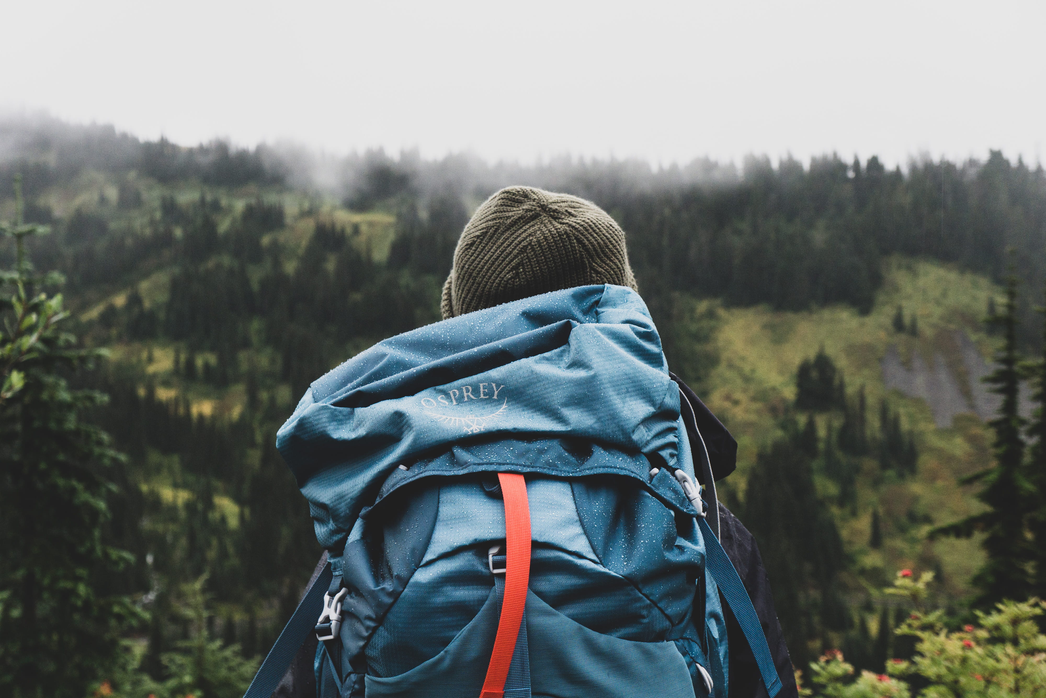 wanderlust, wander, exploration, tourist, leisure Activity, recreational Pursuit, mist, explorer, forest, wilderness, rear View, people Traveling, scenics, HD Wallpaper