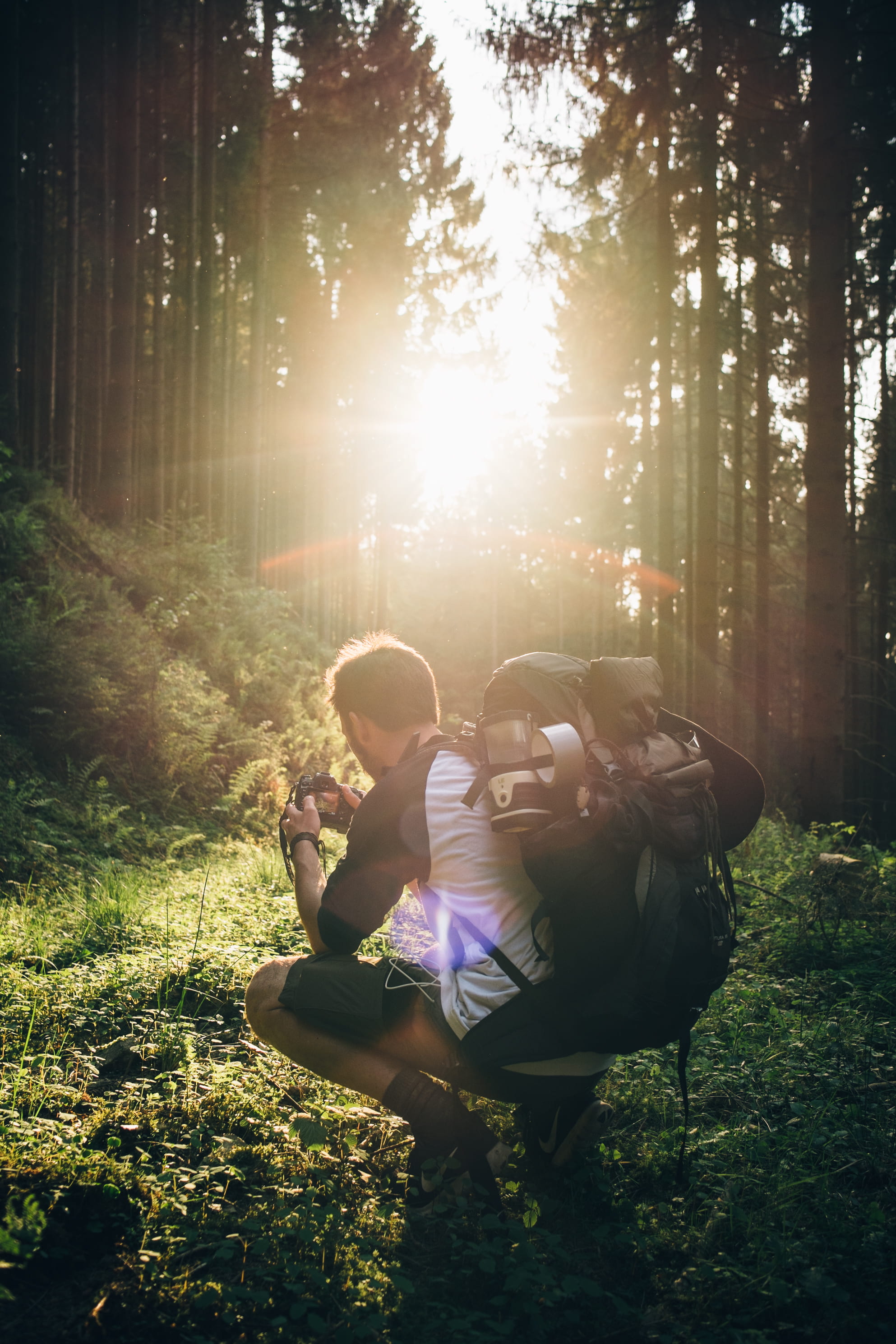 hiking, field, women, couple - relationship, real people, two people, forest, outdoors, leisure activity, explore, backpack, togetherness, sunlight, wanderlust, Phone HD Wallpaper