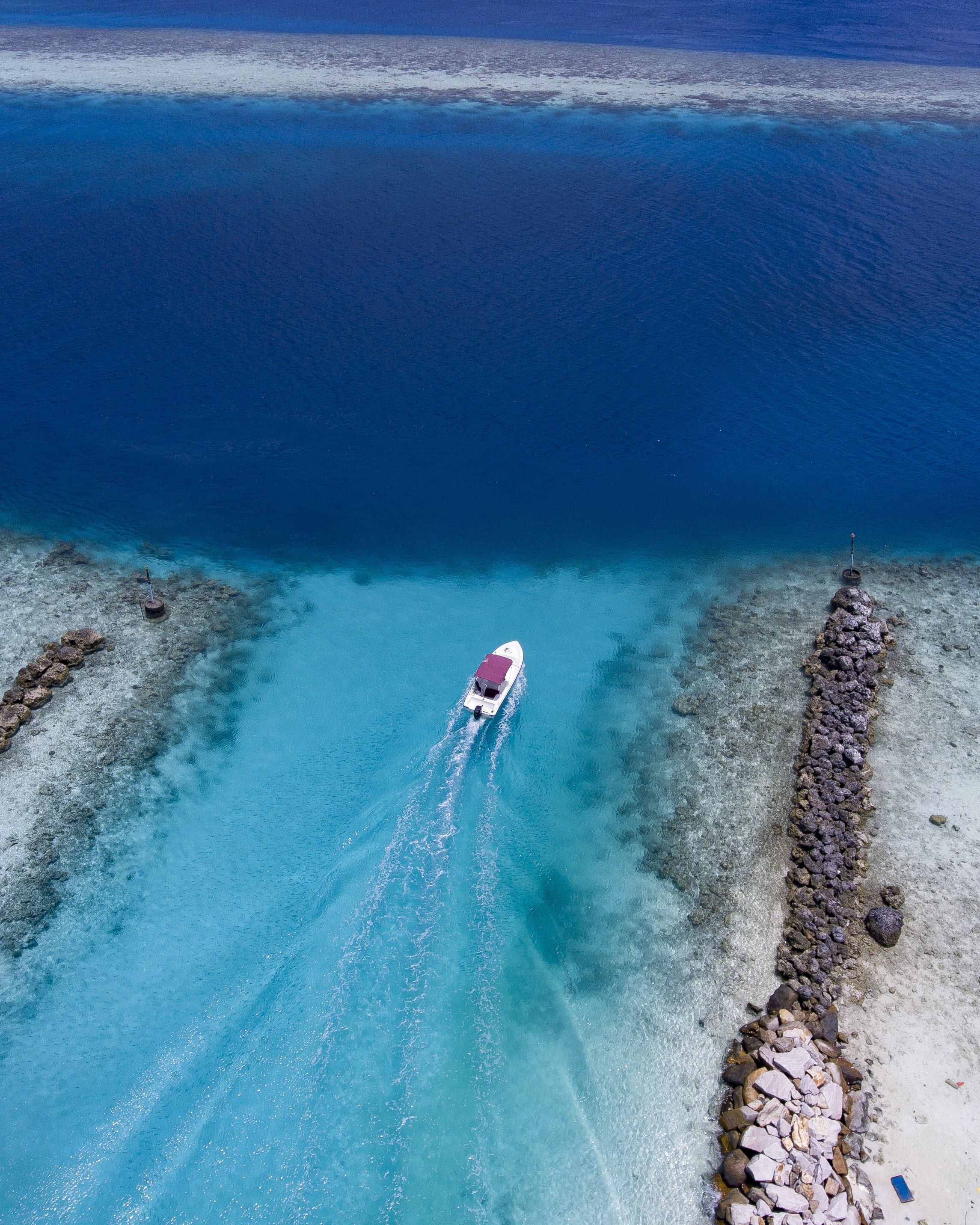 maldives, scenics - nature, birds, vacations, daytime, seaside, eye, aquatic sport, turquoise colored, travel, trip, outdoors, adult, nature, day, exotic, Phone HD Wallpaper
