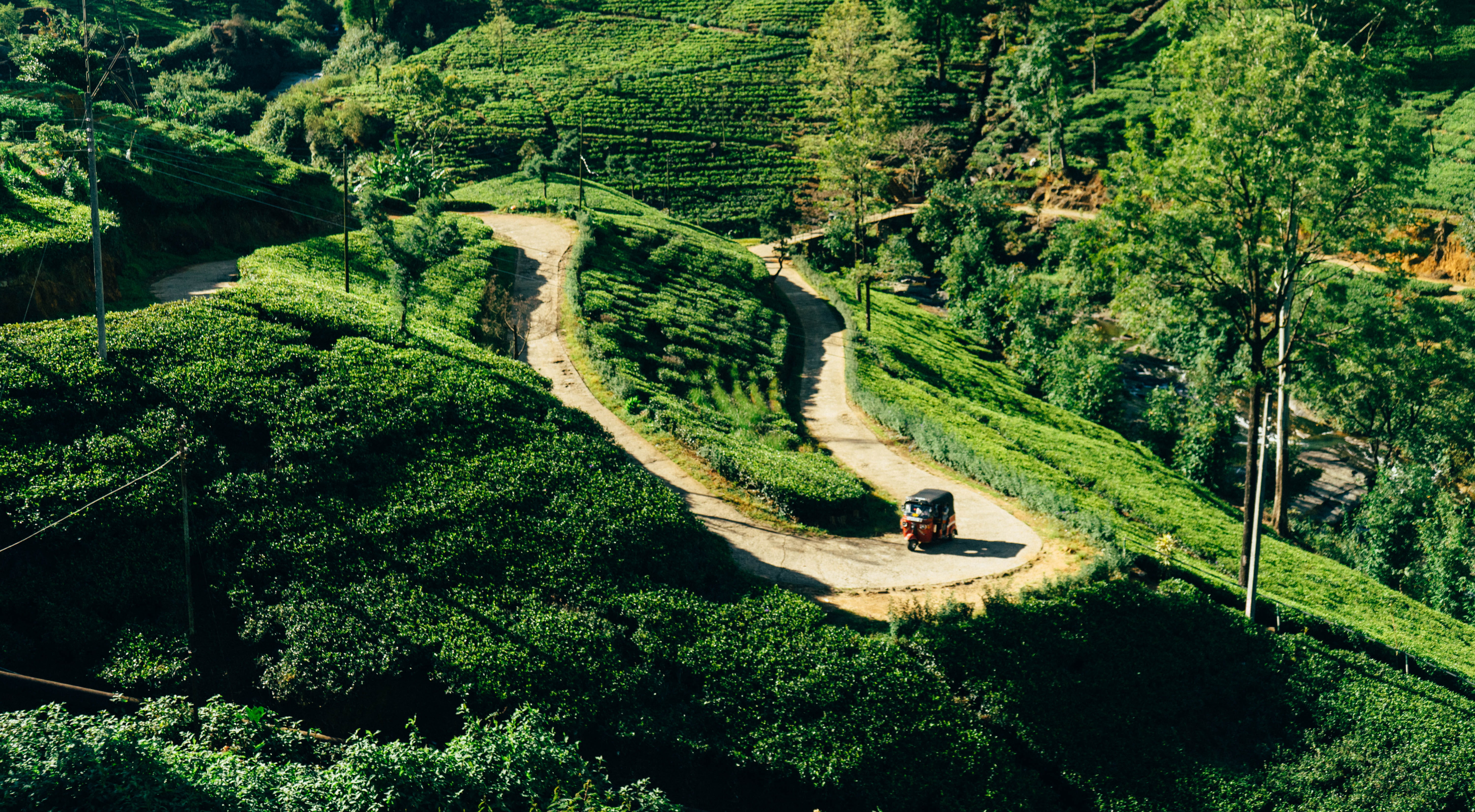 green, outdoors, road, surrounded, countryside, tree, scenery, beauty in nature, growth, transportation, grassland, traveling, high angle view, landscape, HD Wallpaper