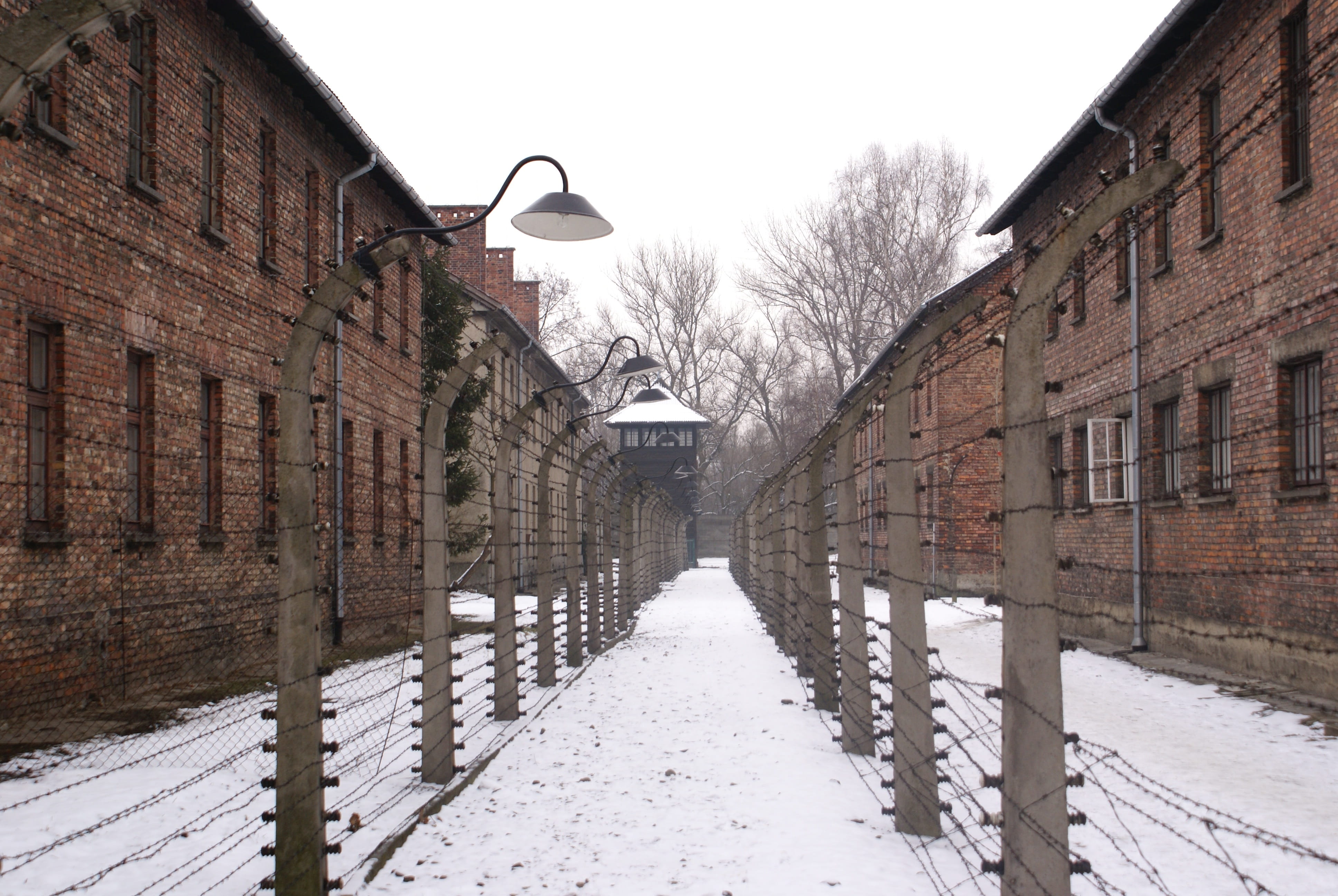 covering, no people, Nazis, the way forward, snow, tree, clear sky, winter, long, built structure, diminishing perspective, sky, street light, 4K, building, HD Wallpaper