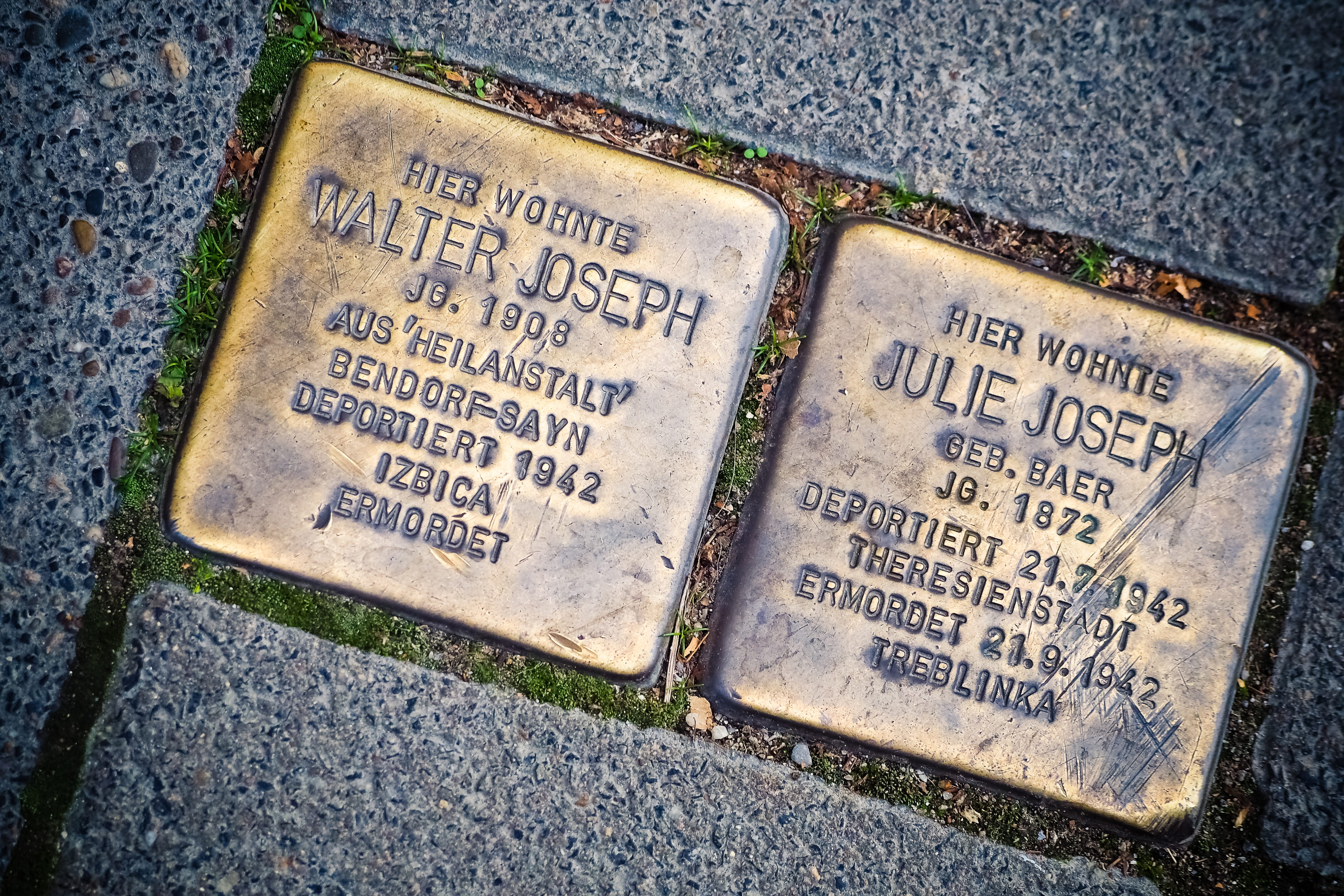 name, stumbling blocks, day, empire, high angle view, text, sign, symbol, pogrom, jewish, murder, germany, square, communication, nazi era, script, cemetery, HD Wallpaper