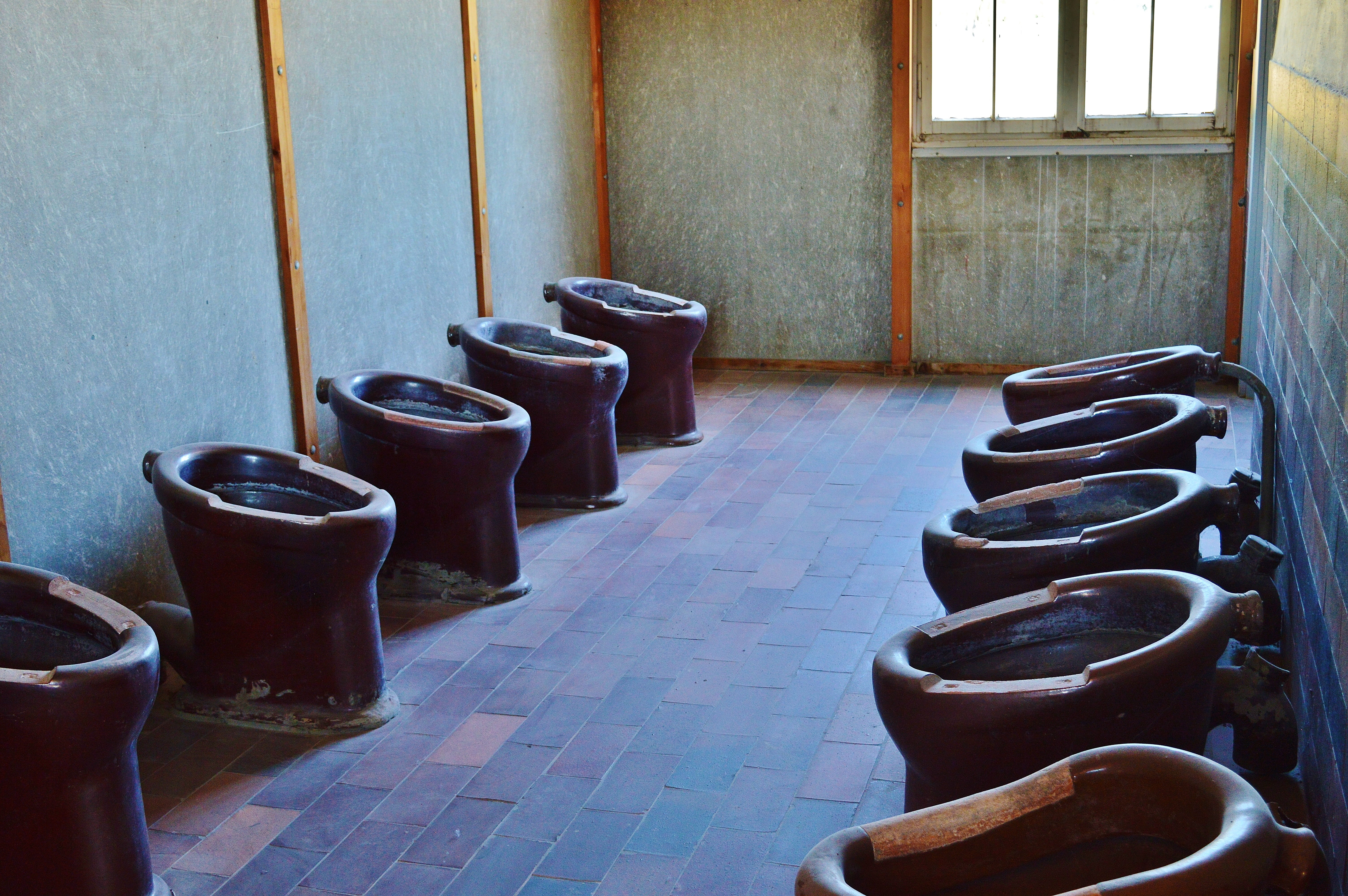 seat, konzentrationslager, crime, wall - building feature, tiled floor, building, no people, terrible, death, bad, architecture, 5K, in a row, kz, indoors, HD Wallpaper