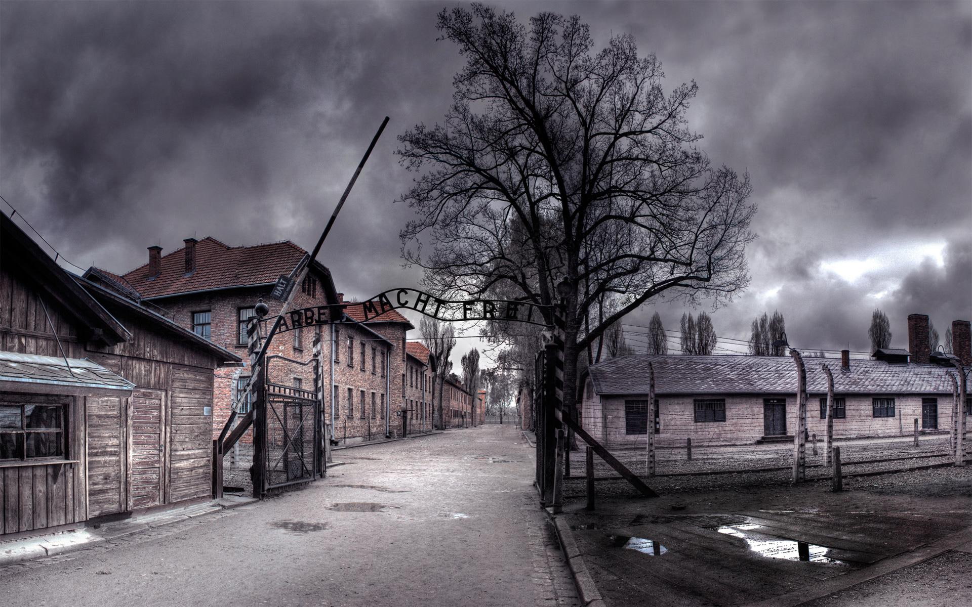 cim, barracks, gate, camp, tree, time, o, photo, auschwitz, village, night, nature and landscapes, wi, 1080P, fence, clouds, HD Wallpaper