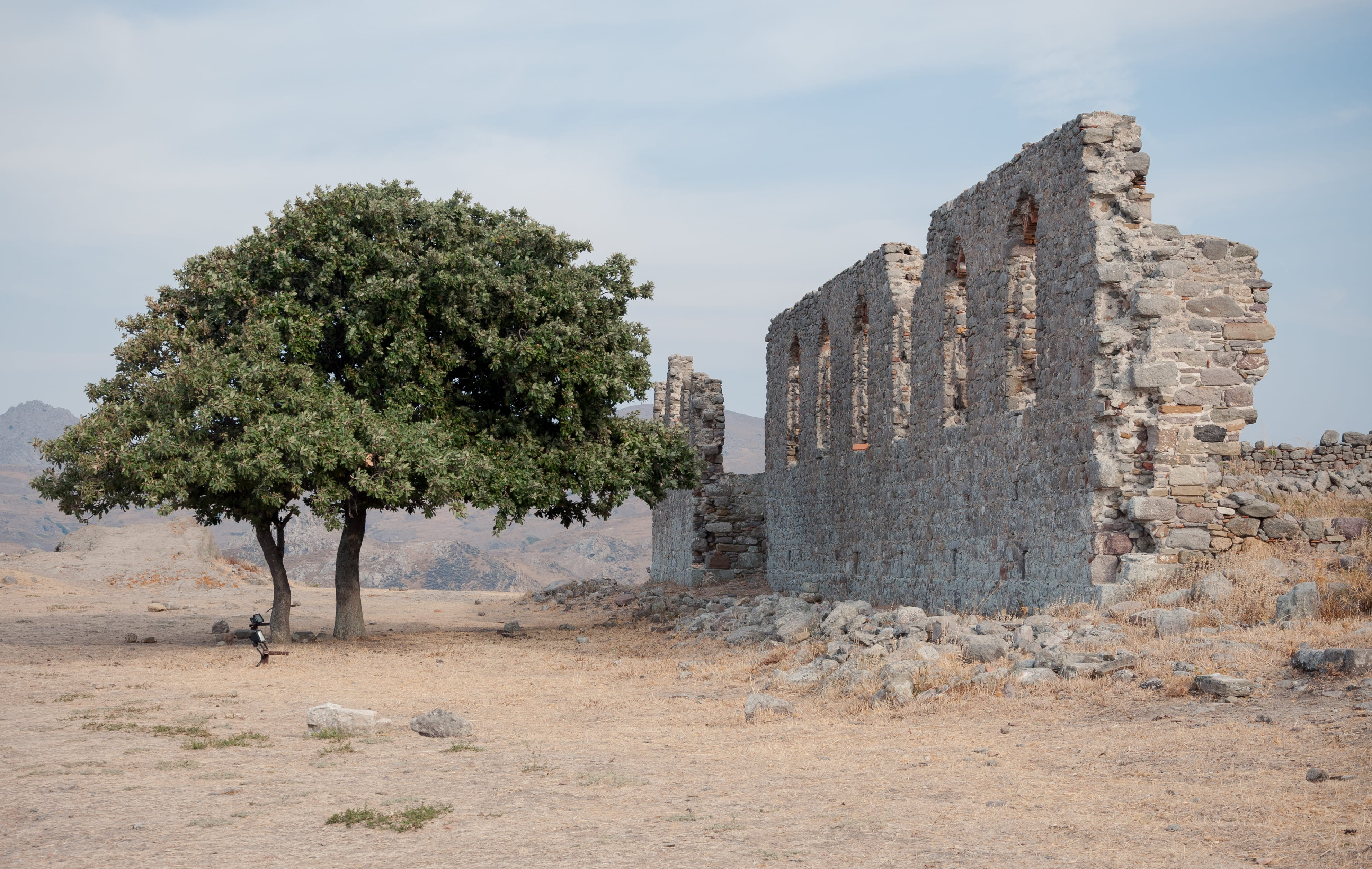 tree, growth, building exterior, historic, greece, sky, history, old, the past, ruins, fortress, ruined, nature, abandoned, no people, day, old ruin, built structure, HD Wallpaper