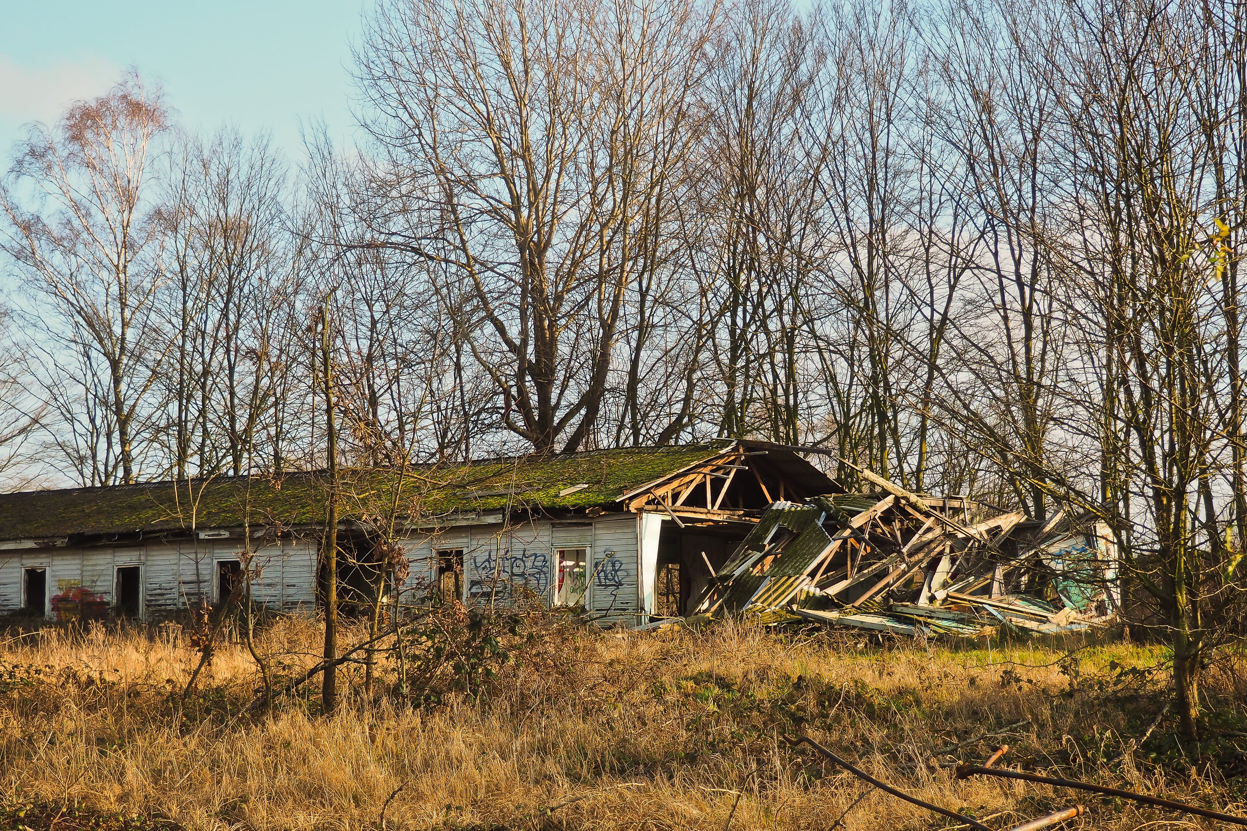 dilapidated, soldiers, barracks, forgotten places, no people, outdoors, obsolete, abandoned, nature, broken, birch, military, tree, decay, trees, sky, built structure, HD Wallpaper