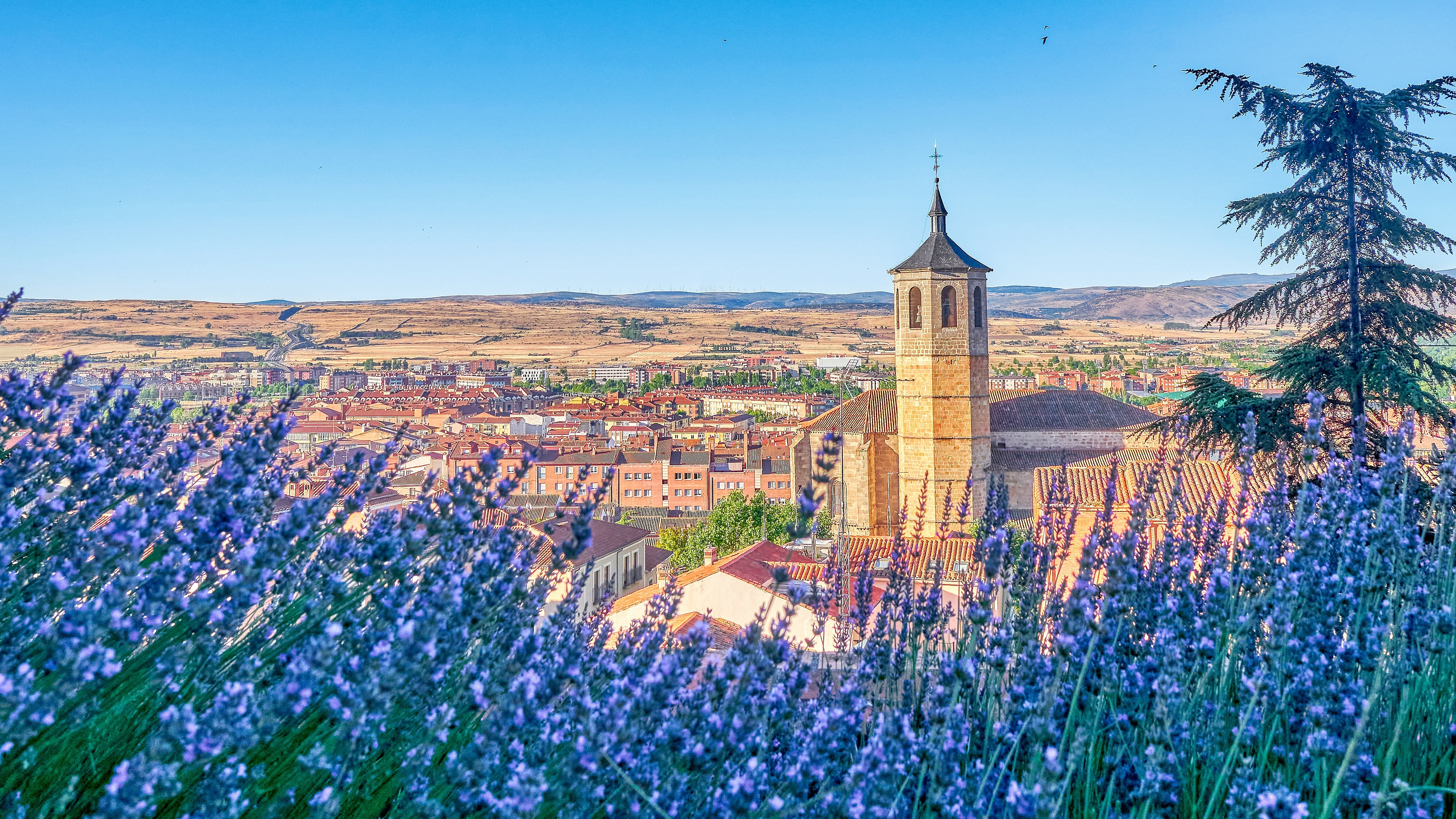 flowers, Church, building, Bell Tower, Spain, Church Of Santiago, St James Church, 4K, the bell tower, Avila, home, panorama, lavender, Church Of St. James, HD Wallpaper