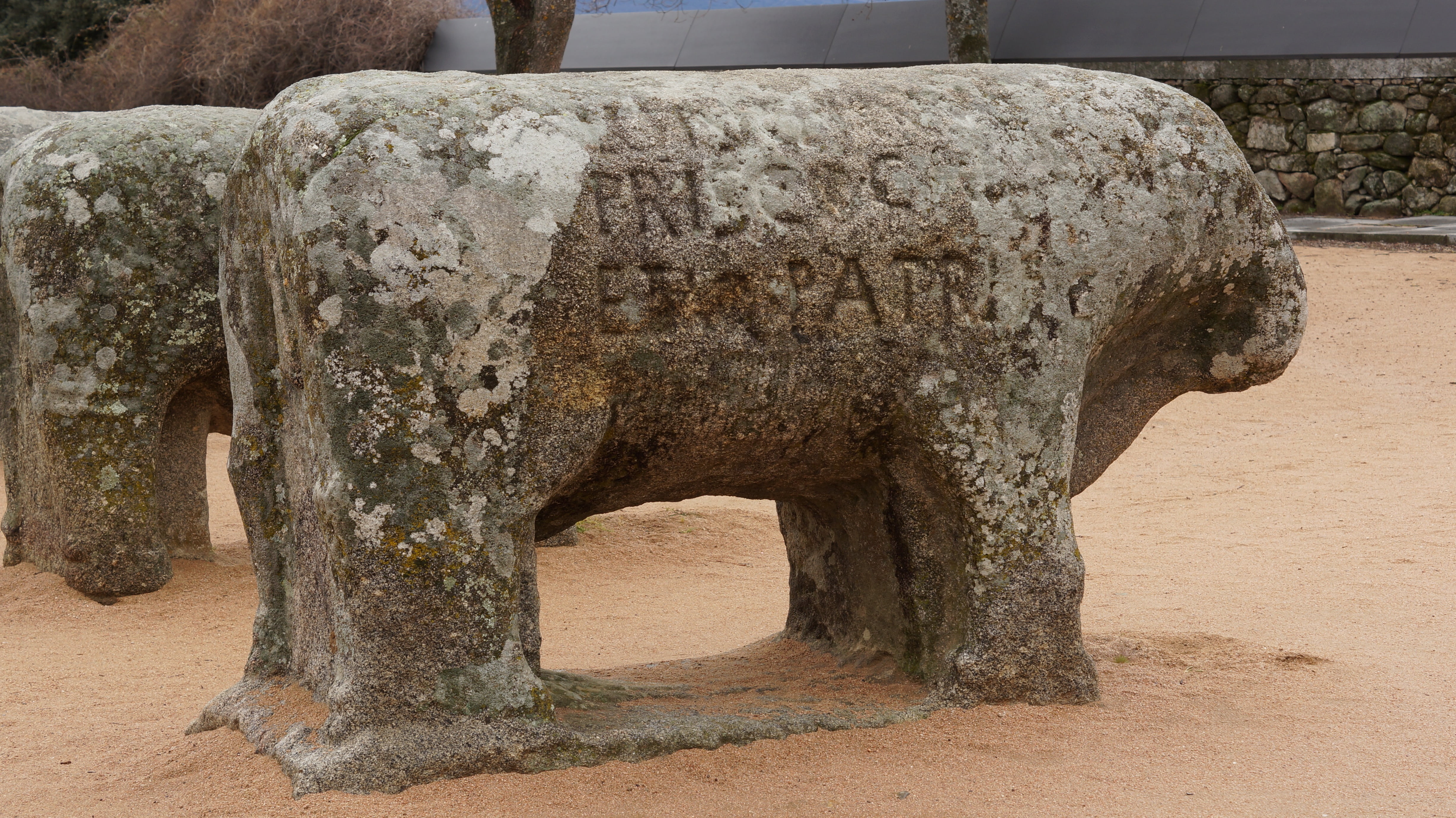 geology, solid, avila, outdoors, 4K, plant, statue, art and craft, bulls, boar, iron, tree, old, human representation, land, vetones, archaeology, sculpture, HD Wallpaper