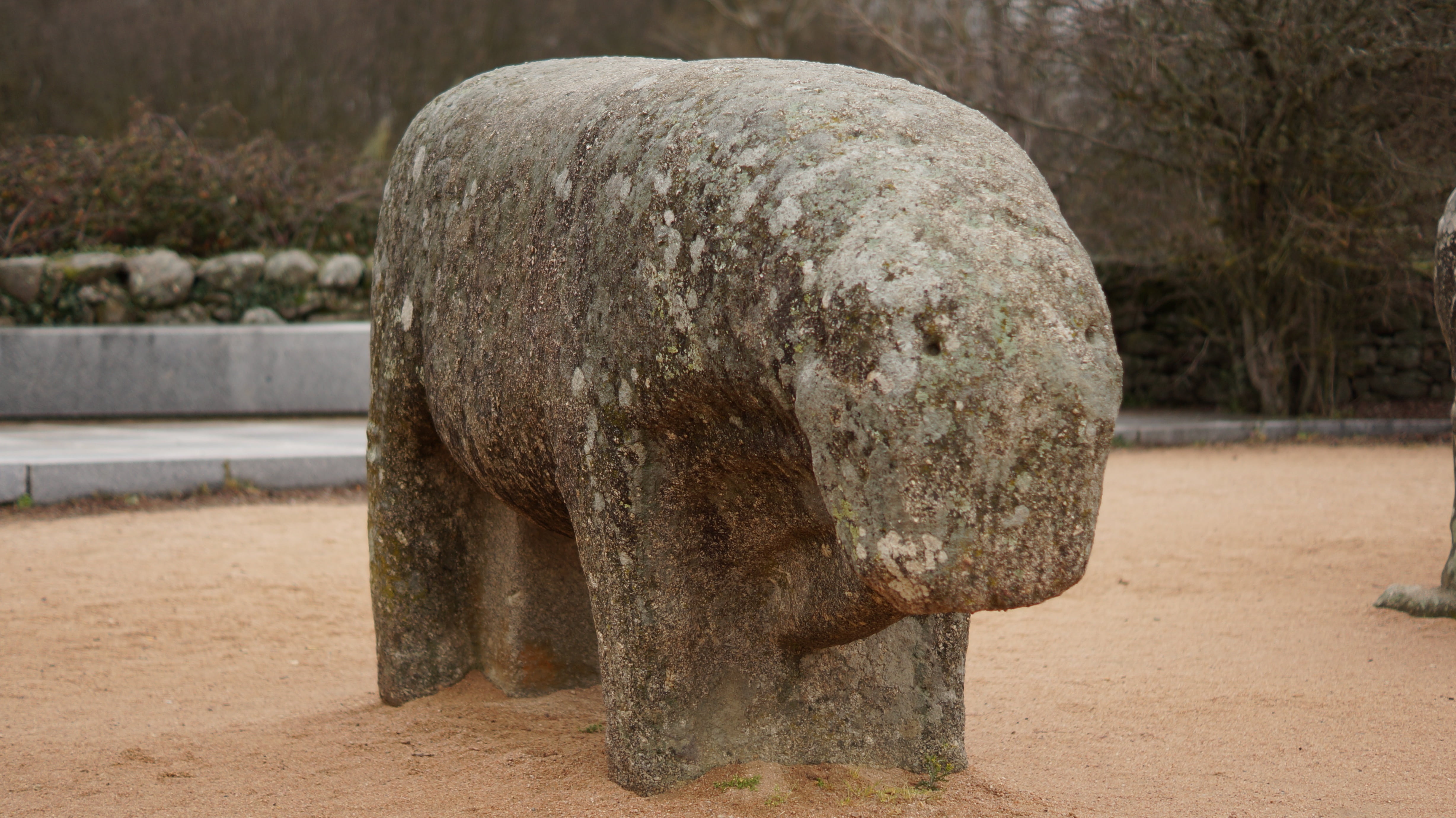 the past, statue, age, land, plant, boar, bulls, nature, travel, sculpture, animal, art and craft, 4K, tree, no people, iron, avila, mammal, single object, HD Wallpaper
