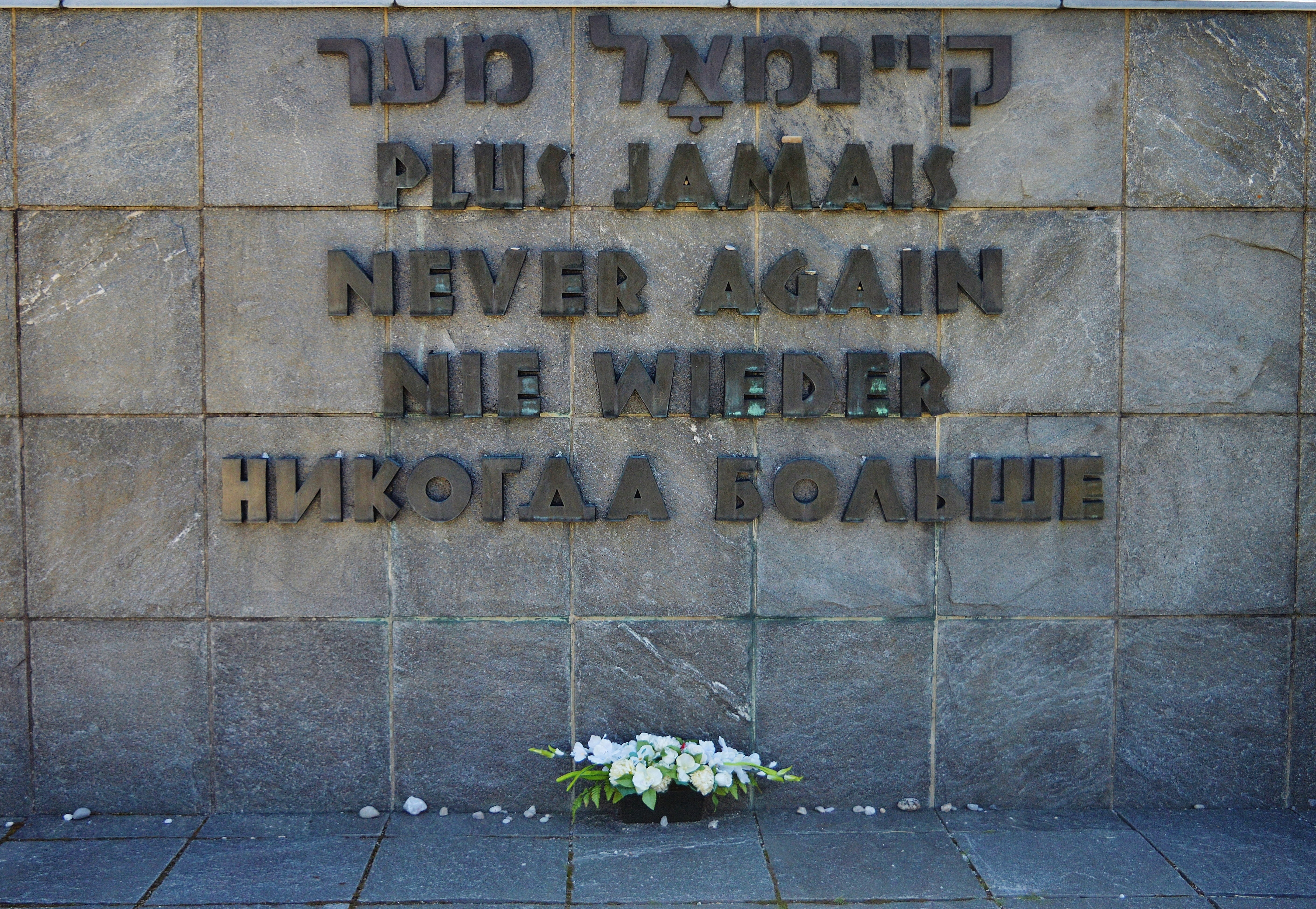 text, bad, holocaust, famous Place, built structure, 5K, death, flower, building exterior, nature, no people, day, sign, never again, information sign, HD Wallpaper