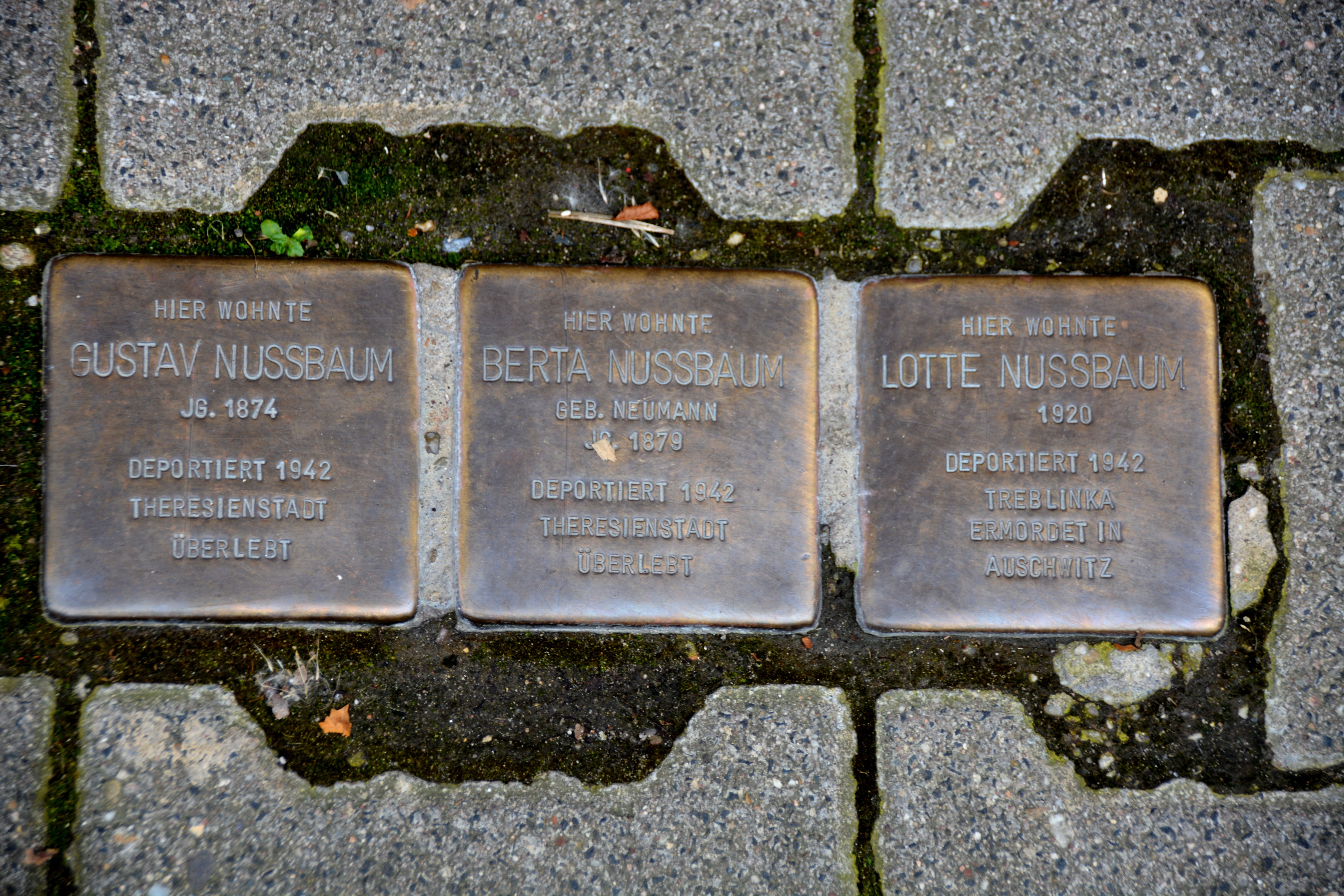 stone, spirituality, western script, jews, stumbling blocks, mass murders, religion, history, holocaust, memorial, close-up, day, grave, communication, HD Wallpaper
