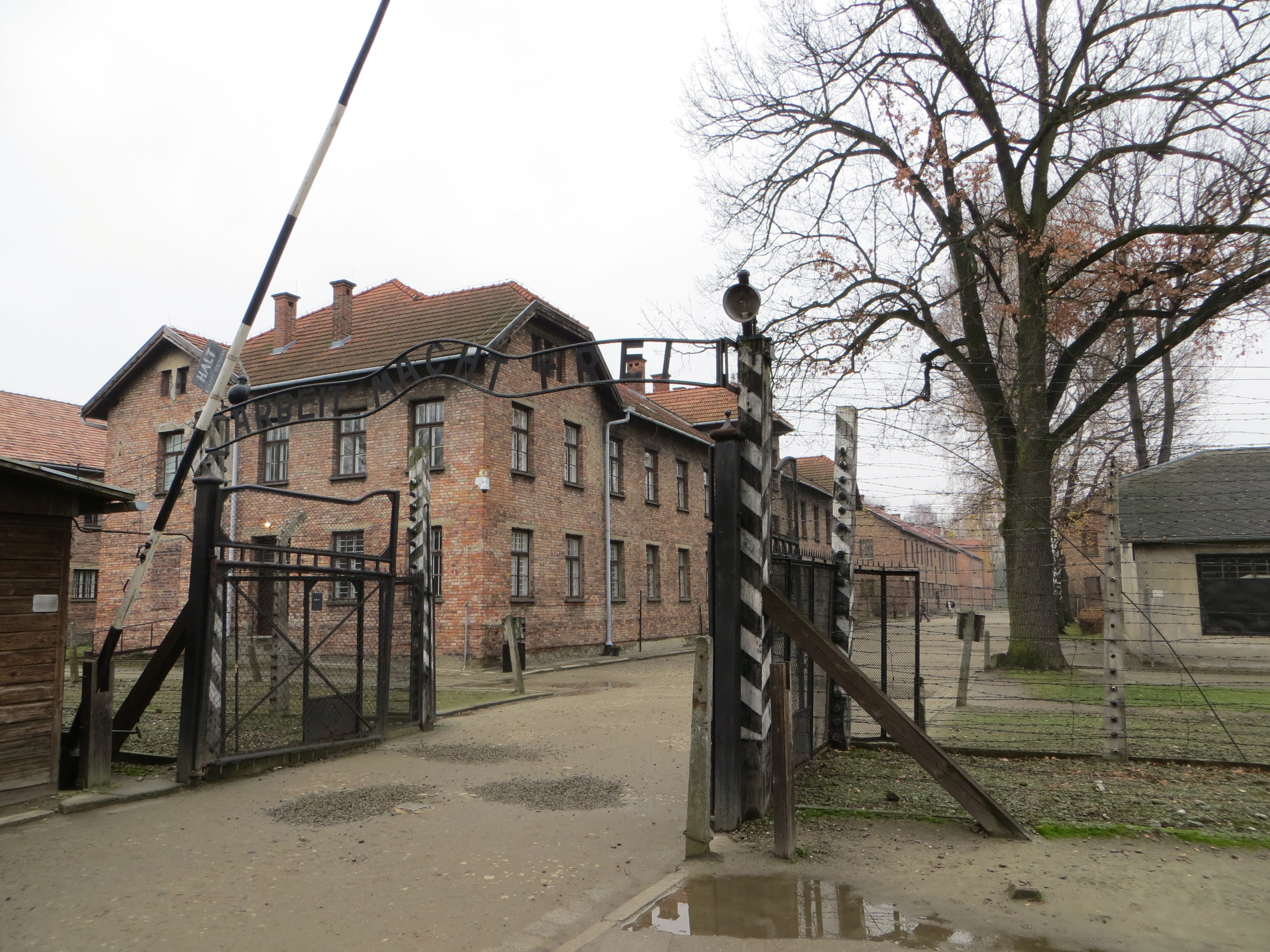 day, the past, outdoors, bare tree, plant, no people, house, auschwitz, sky, residential district, boundary, railing, brick, architecture, tree, history, HD Wallpaper
