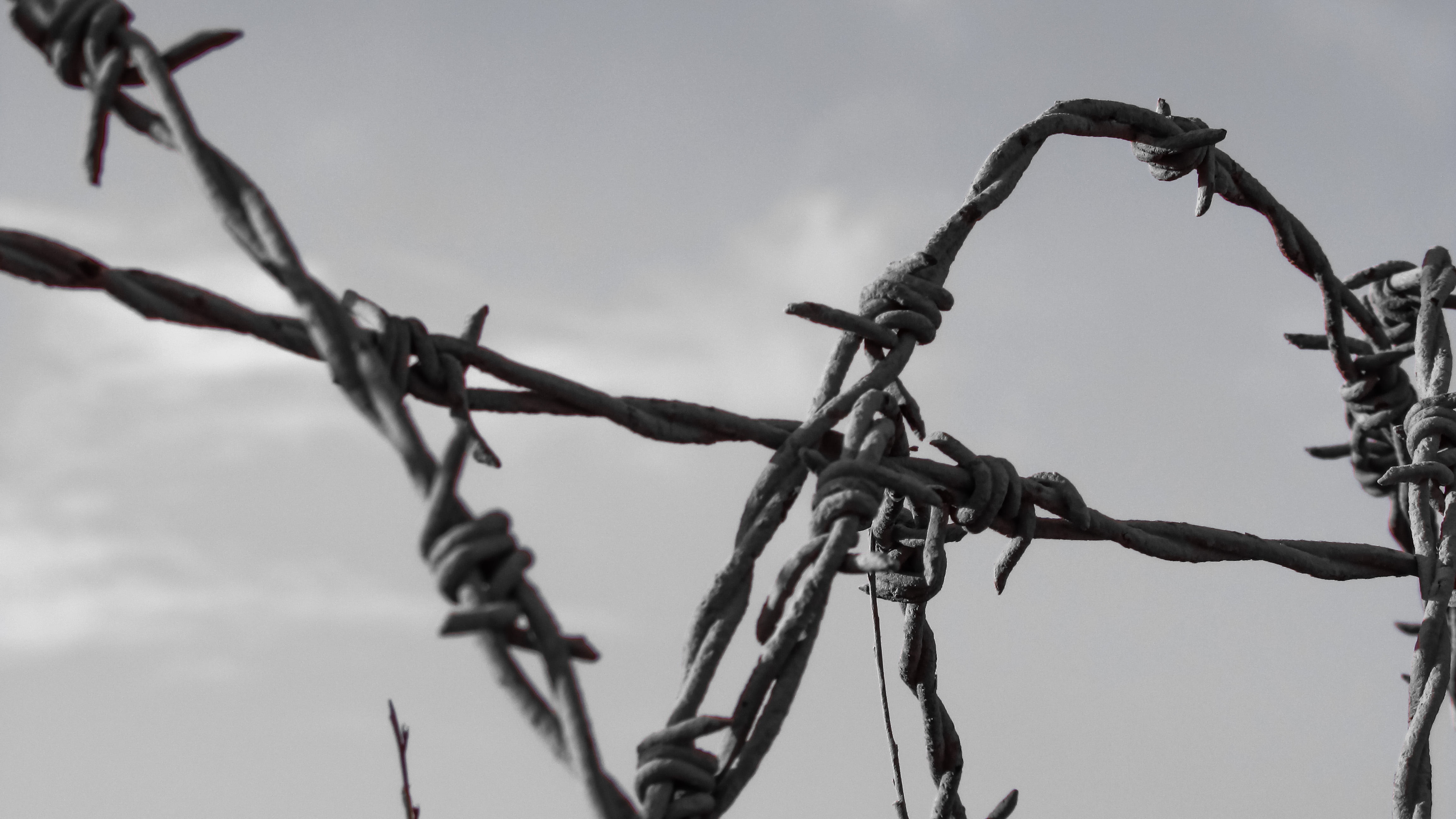 communication, boundary, close-up, safety, nature, sign, barb, cyprus, outdoors, barrier, separation, sky, grayscale, focus on foreground, exclusion, day, HD Wallpaper
