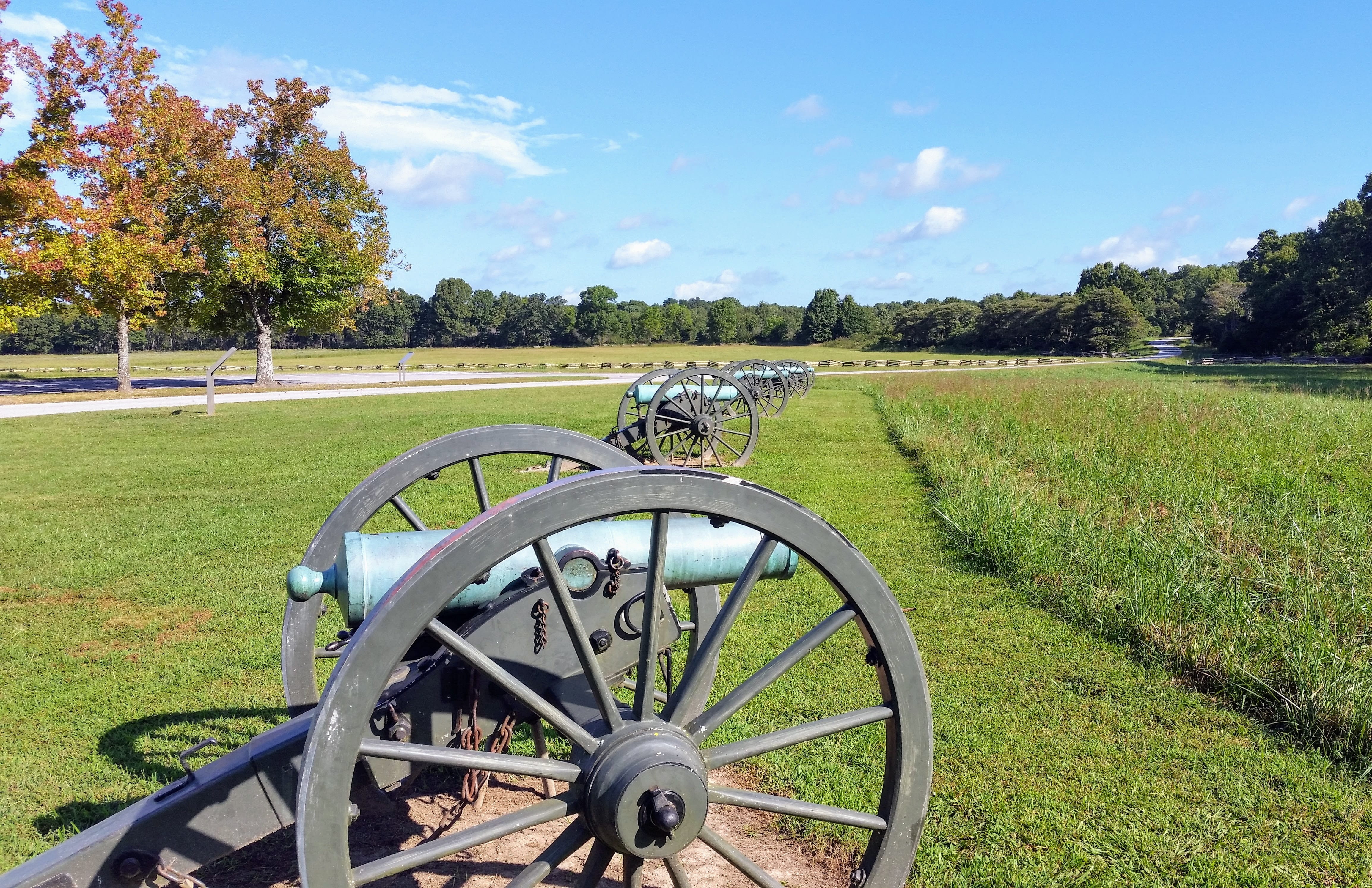 transportation, union, artillery, plant, animal, wagon wheel, civil, land, battlefield, beauty in nature, growth, landscape, old, military, confederate, HD Wallpaper