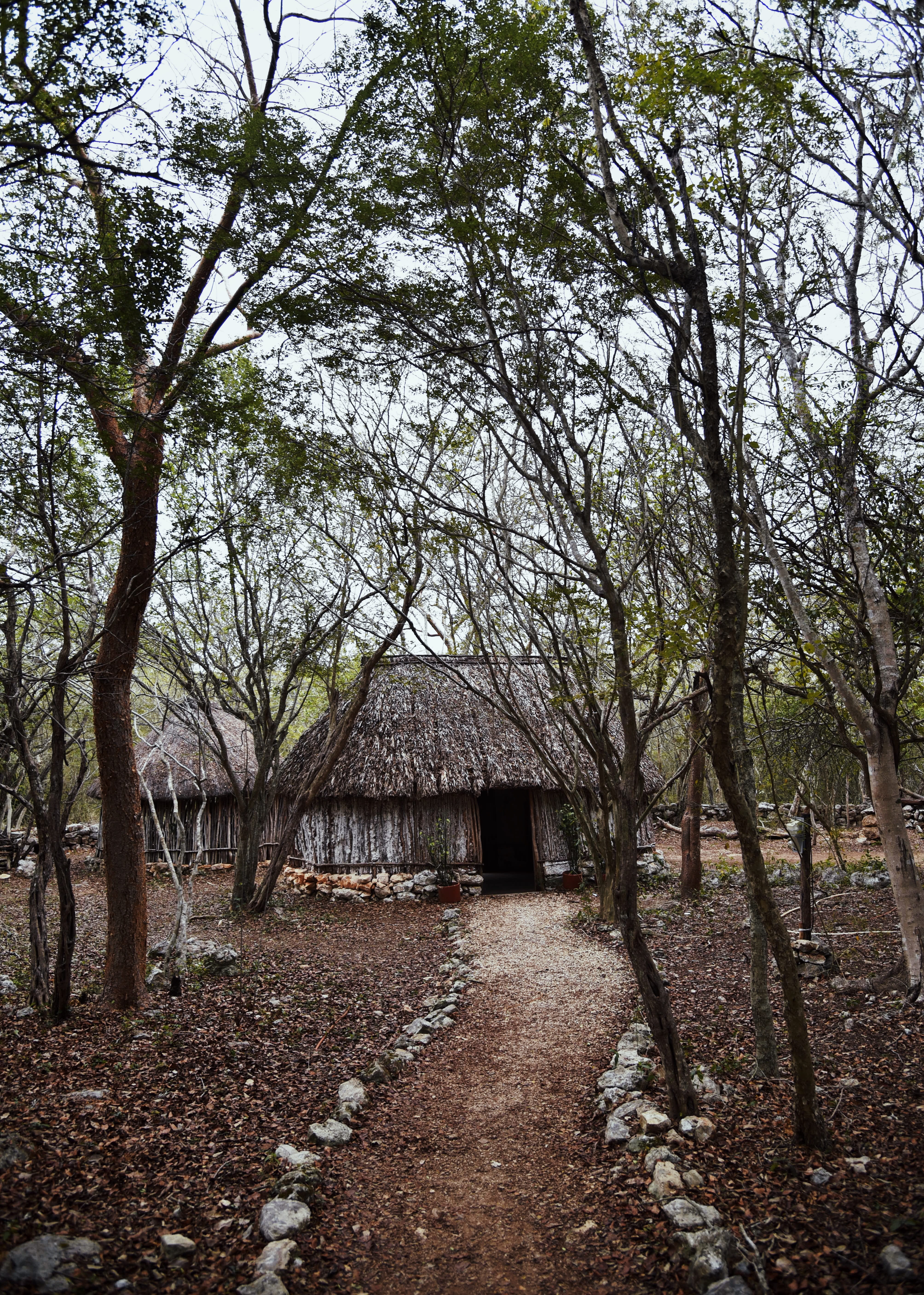 trees, land, tree trunk, direction, landscape, building exterior, huts, plant, shack, housing, countryside, architecture, near, outdoors, mexico, culture, Phone HD Wallpaper