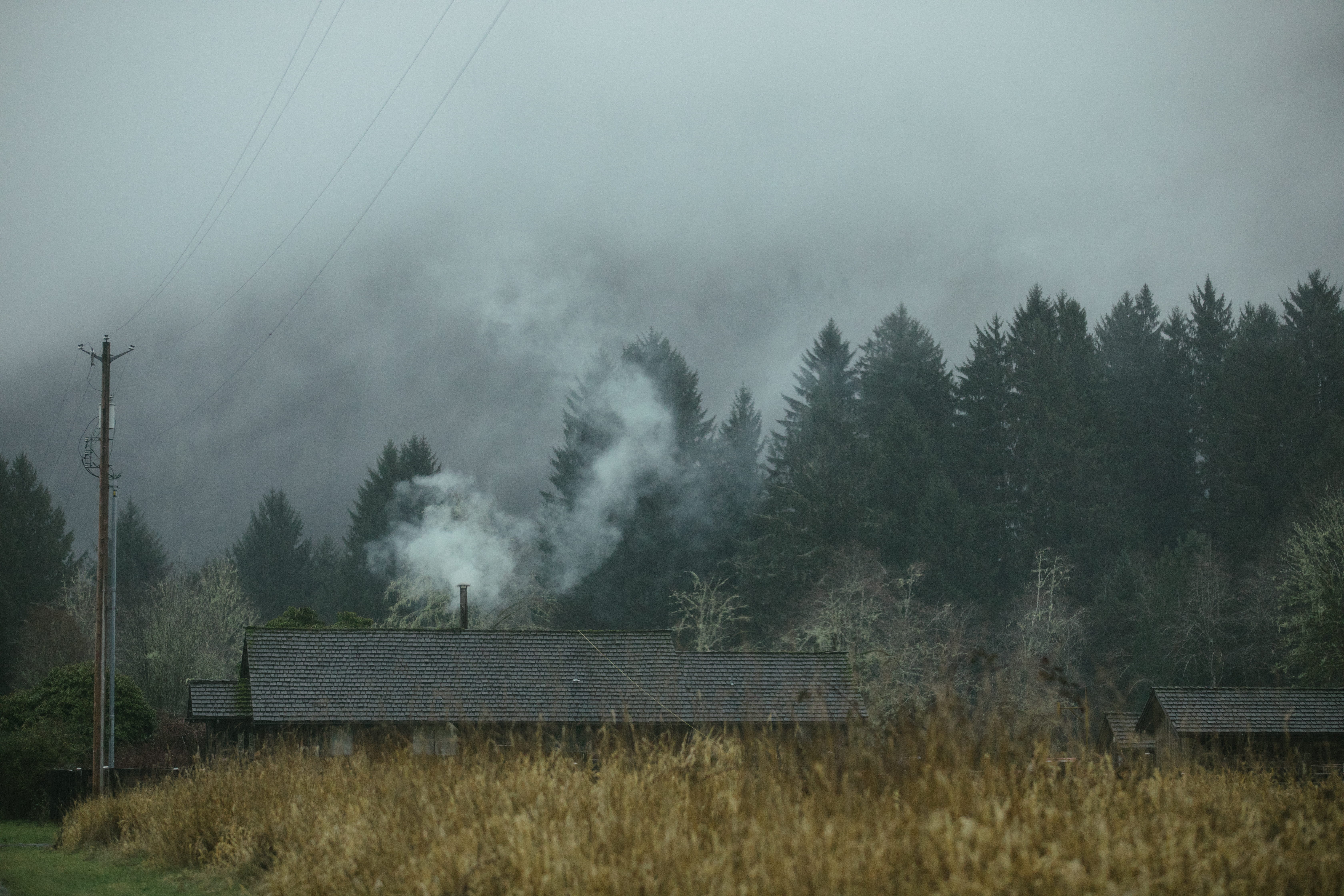 near, no people, fogs, brown, sky, house, electricity, forest, beauty in nature, grass, power supply, pole, fog, tranquil scene, nature, weather, mist, HD Wallpaper