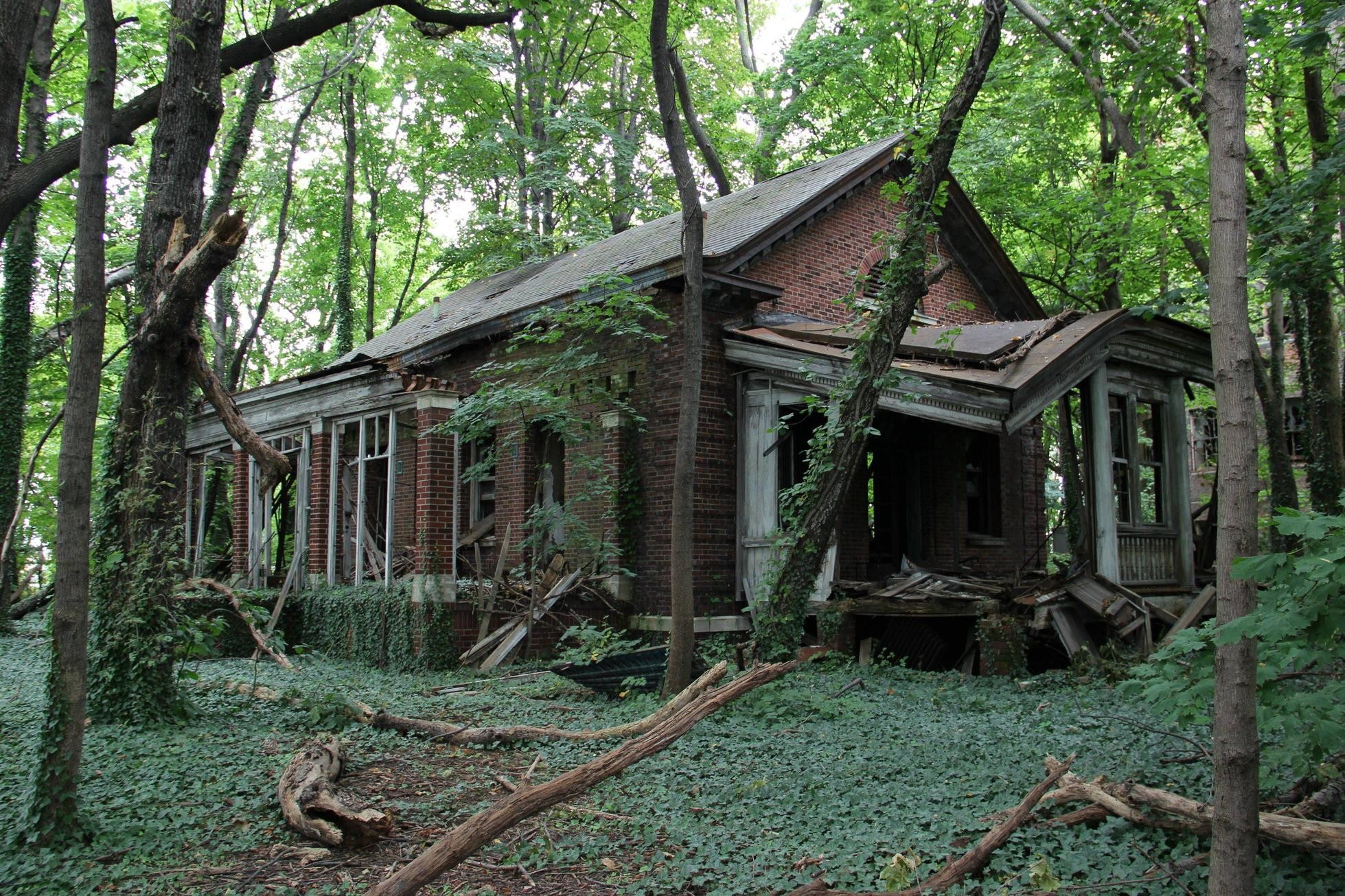 day, outdoors, land, forest, tranquility, nature, 1080P, architecture, tree, building, obsolete, no people, abandoned, ruined, green color, plant, deterioration, HD Wallpaper