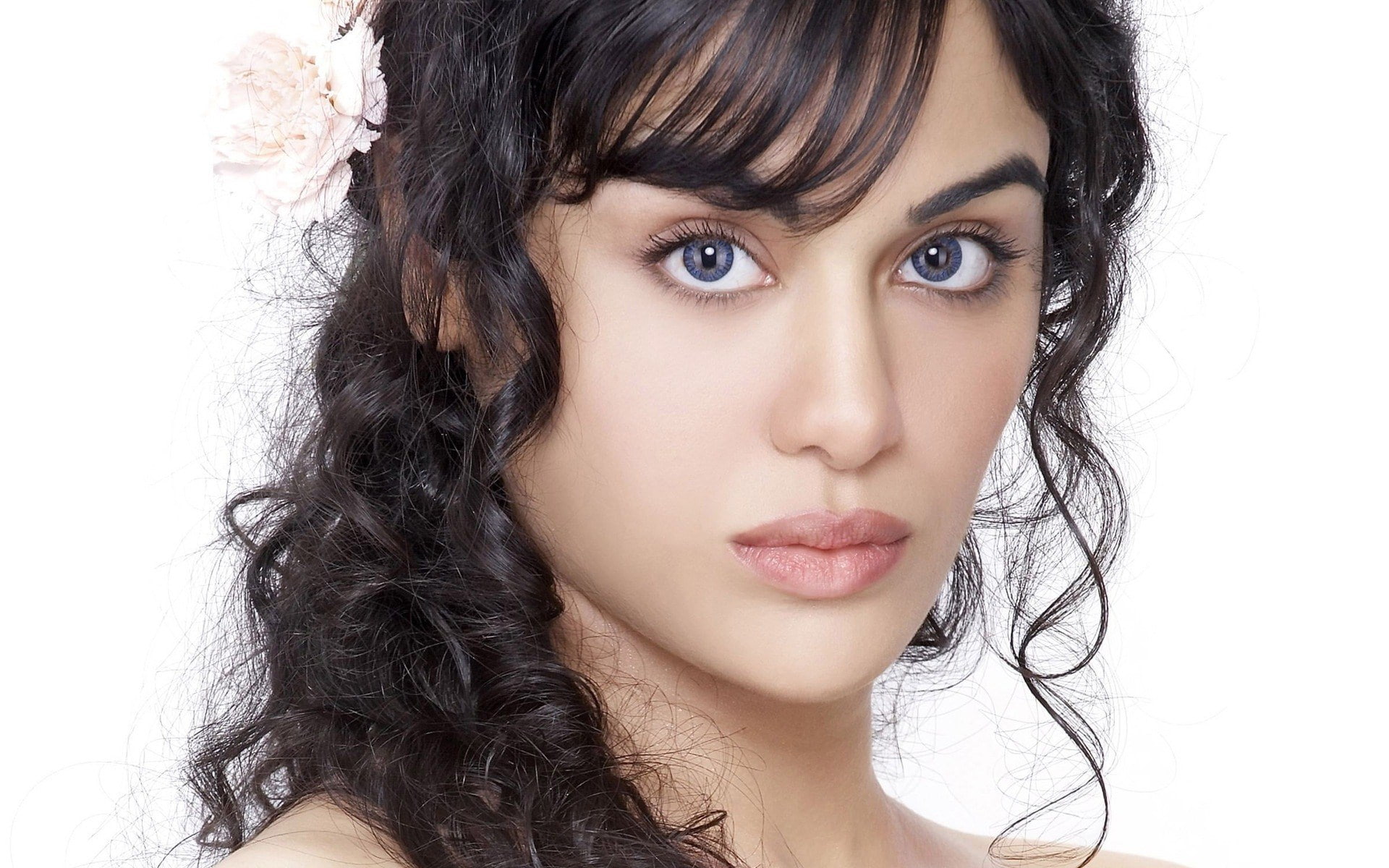 women, human face, looking at camera, beautiful people, 1080P, body part, headshot, studio shot, human hair, adah sharma, adult, hair, glamour, young women, HD Wallpaper