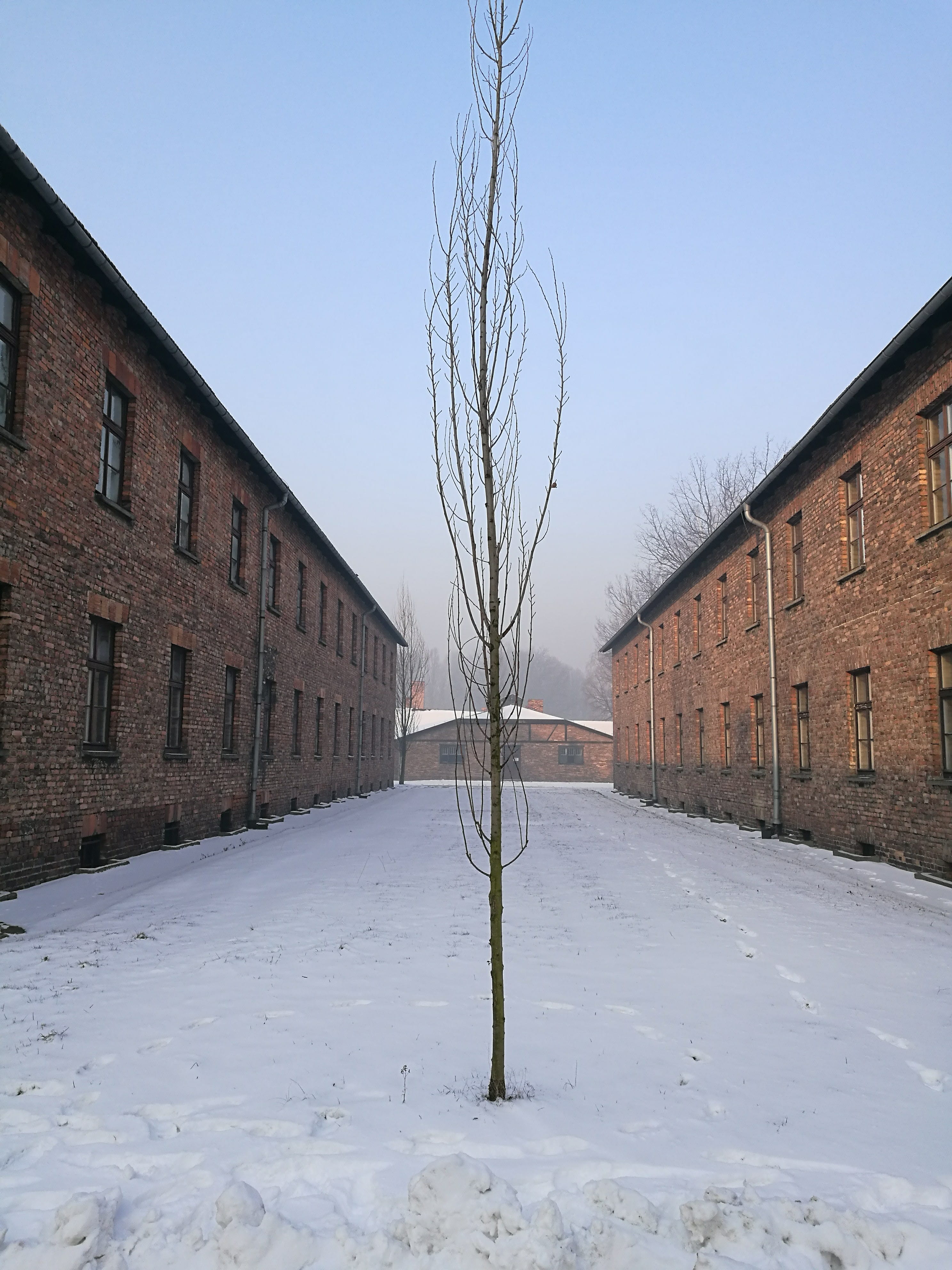extreme weather, 4K, memorial and museum auschwitz-birkenau, frozen, building, cold temperature, field, winter, land, sky, architecture, oświęcim, building exterior, Phone HD Wallpaper