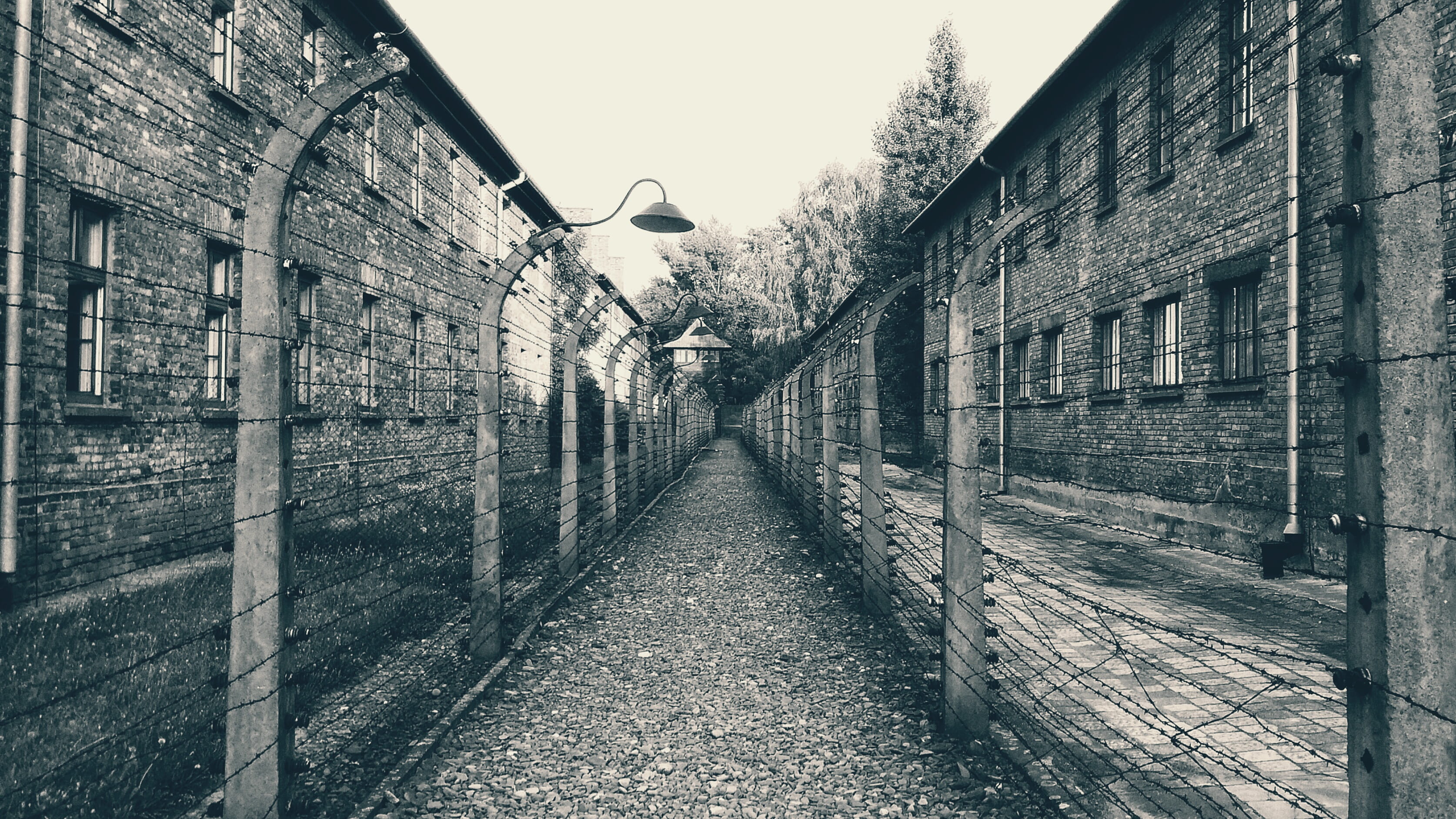street, oświęcim, death, long, day, building, kl auschwitz, horror, direction, empty, no people, architecture, outdoors, clear sky, residential district, HD Wallpaper