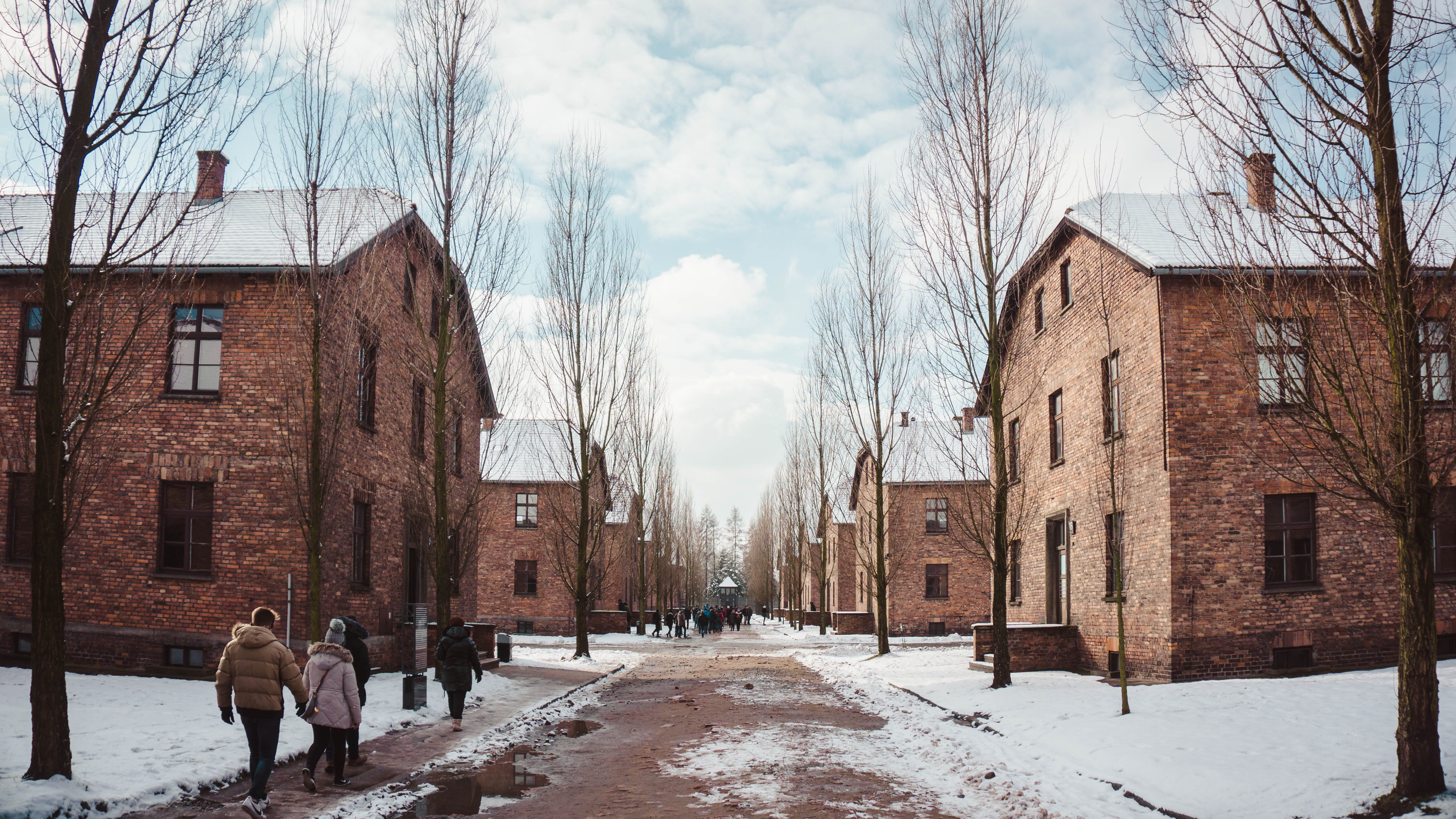 nature, building exterior, building, built structure, krakow, diminishing perspective, day, the way forward, oświęcim, winter, sky, city, auschwitz i, residential district, HD Wallpaper
