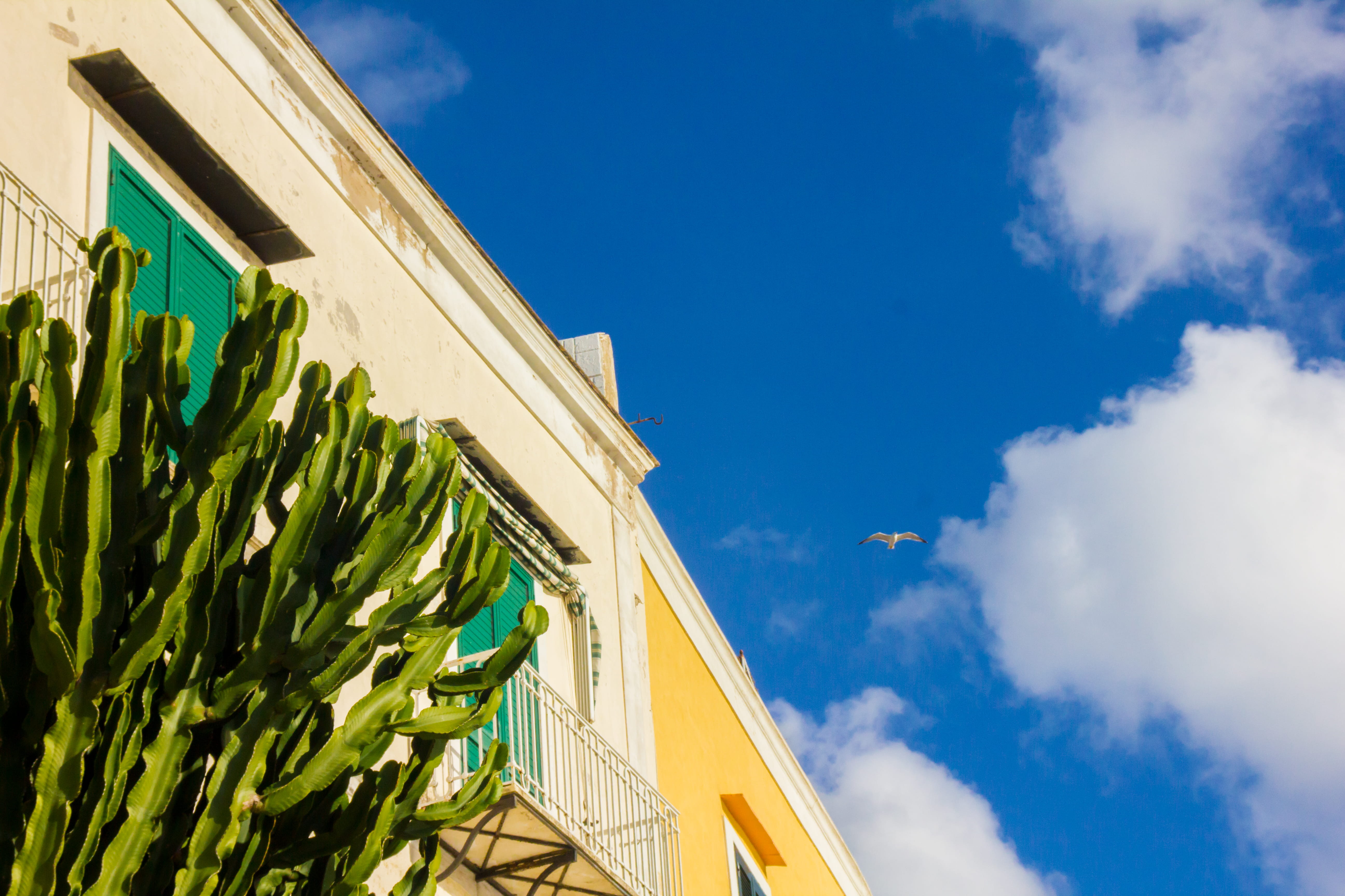roof, nature, architecture, tropical climate, city, sky, outdoors, home, yellow, building, multi colored, low angle view, italy, building exterior, day, HD Wallpaper
