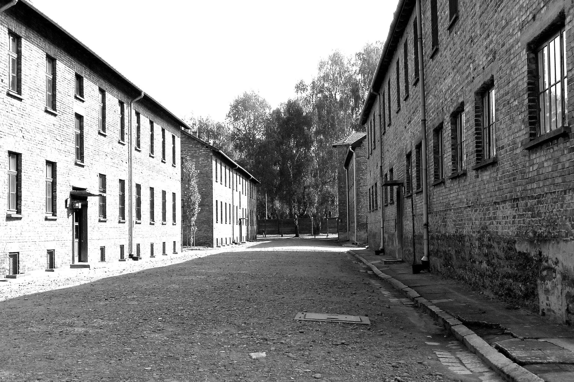 built structure, diminishing perspective, architecture, sky, tree, building exterior, poland, direction, plant, concentration camp, 1080P, street, outdoors, HD Wallpaper