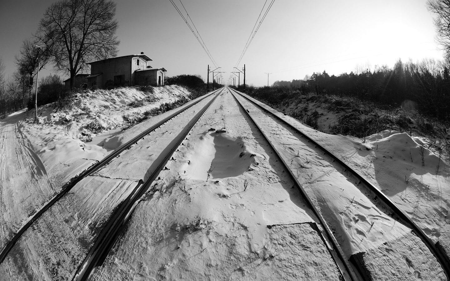 horizon, inwardness, 720P, Sun, depth of field, winter, snow, tracks, black, white, cold, trees, railway, HD Wallpaper