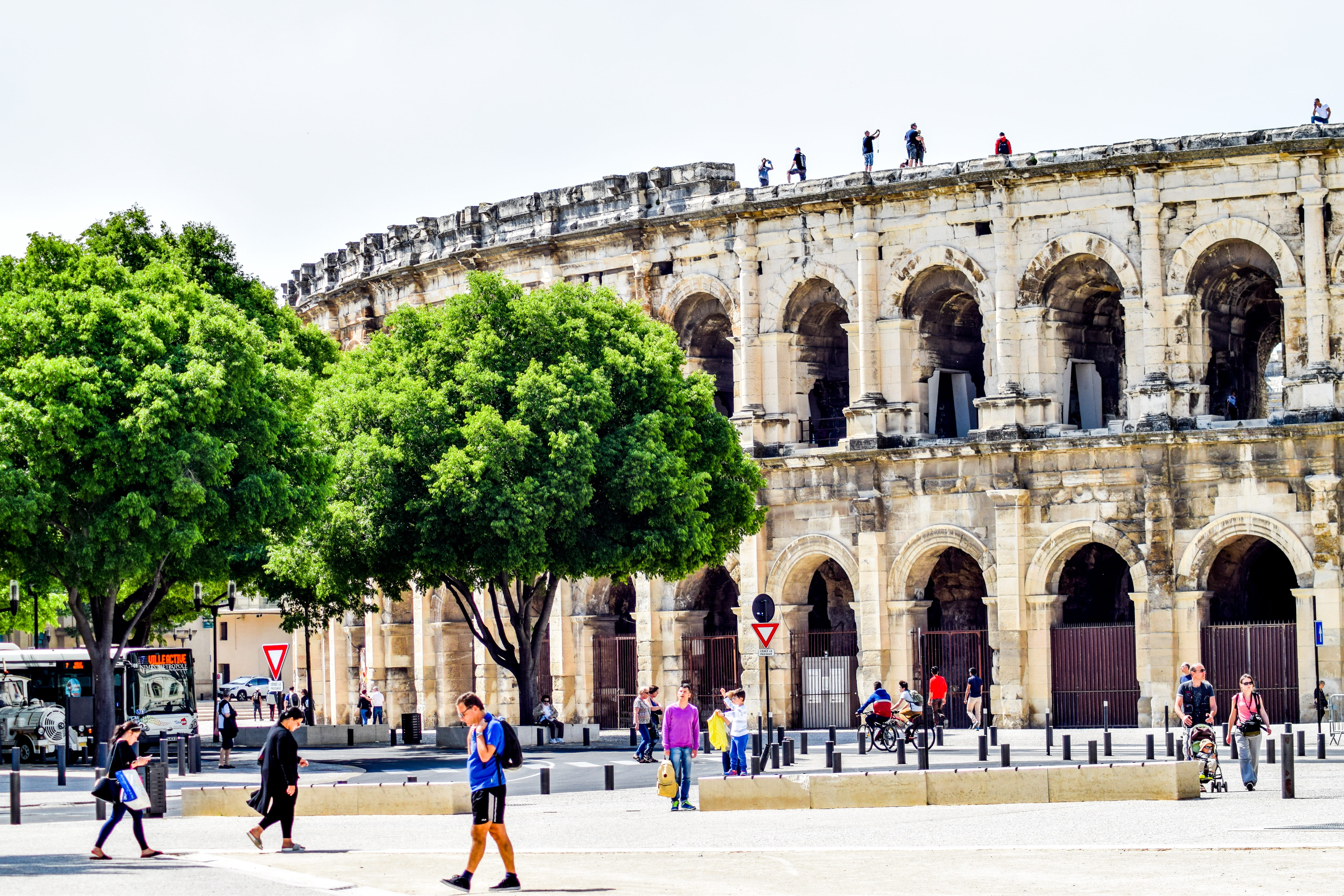 bulls, building exterior, Arenas, travel destinations, crowd, visit, incidental people, Nimes, roman city, City, amphitheater, day, history, nature, women, HD Wallpaper
