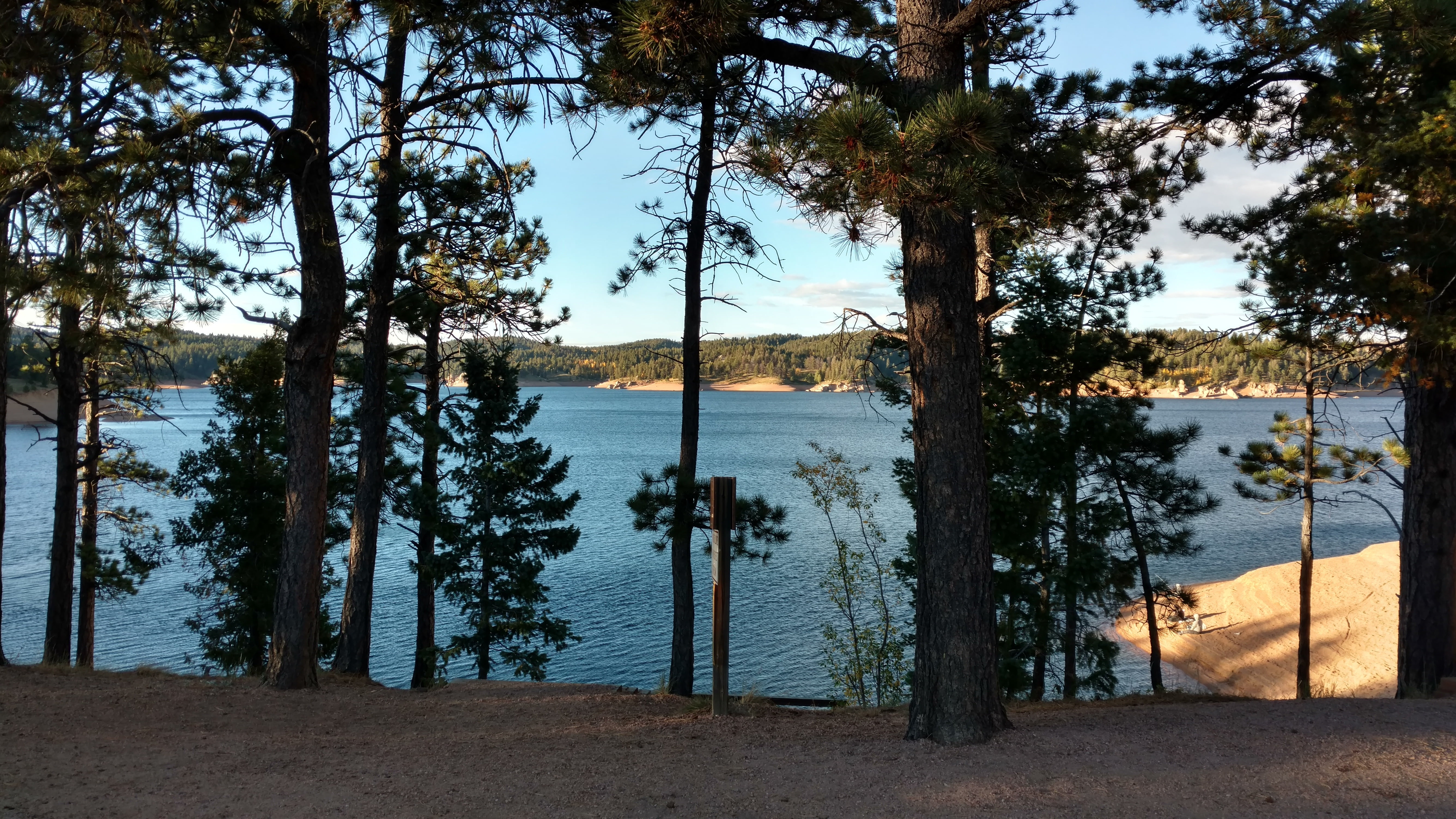 reservoir, beauty in nature, no people, water, forest, colorado, lodgepole pines, tranquil scene, trees, tree, land, lake, trunk, rampart reservoir, plant, HD Wallpaper
