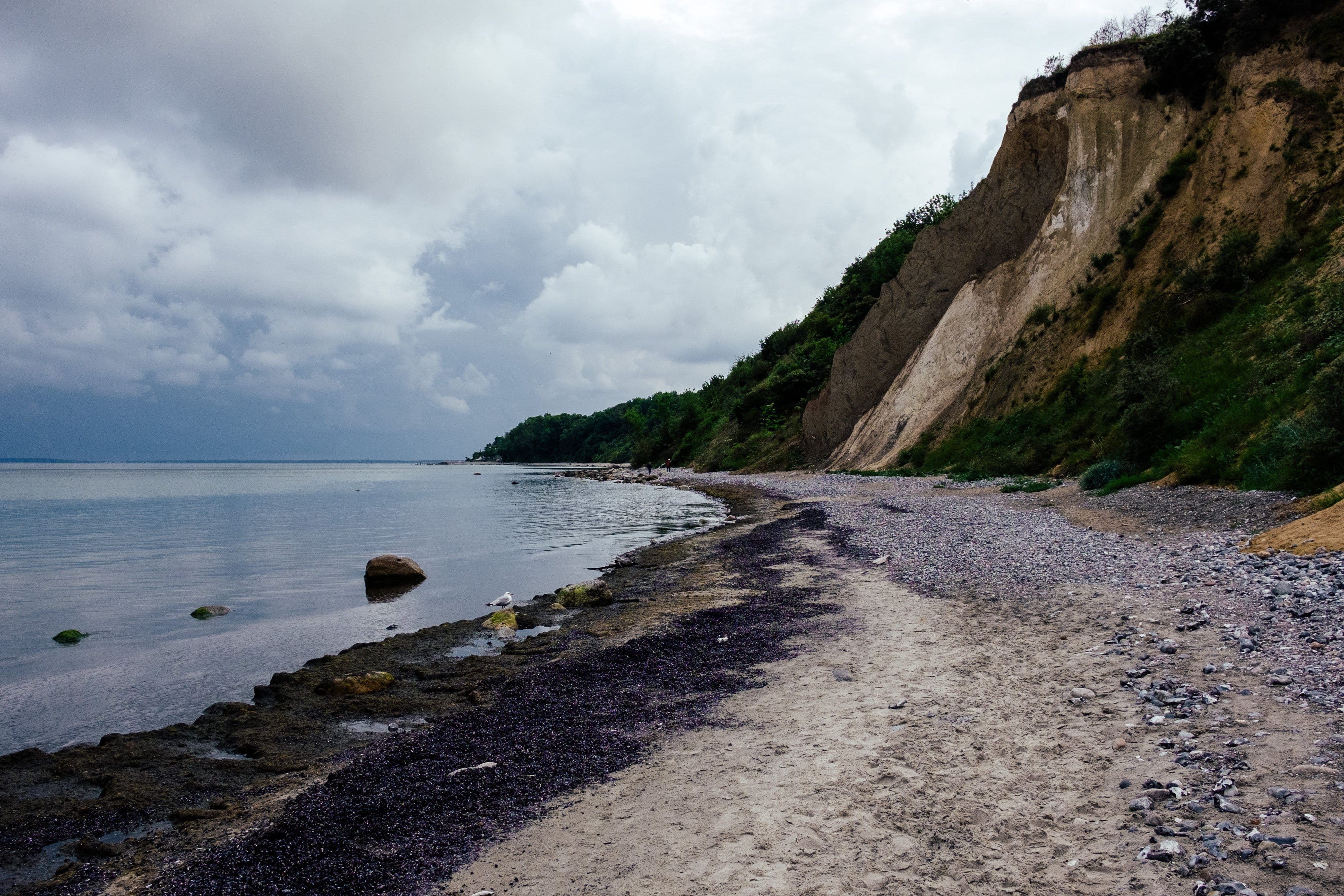 ruegen, coast, shore, chalk, tranquility, scenery, germany, beauty in nature, ocean, white, outdoor, sea, nature, national, blue, 4K, day, vorpommern, HD Wallpaper