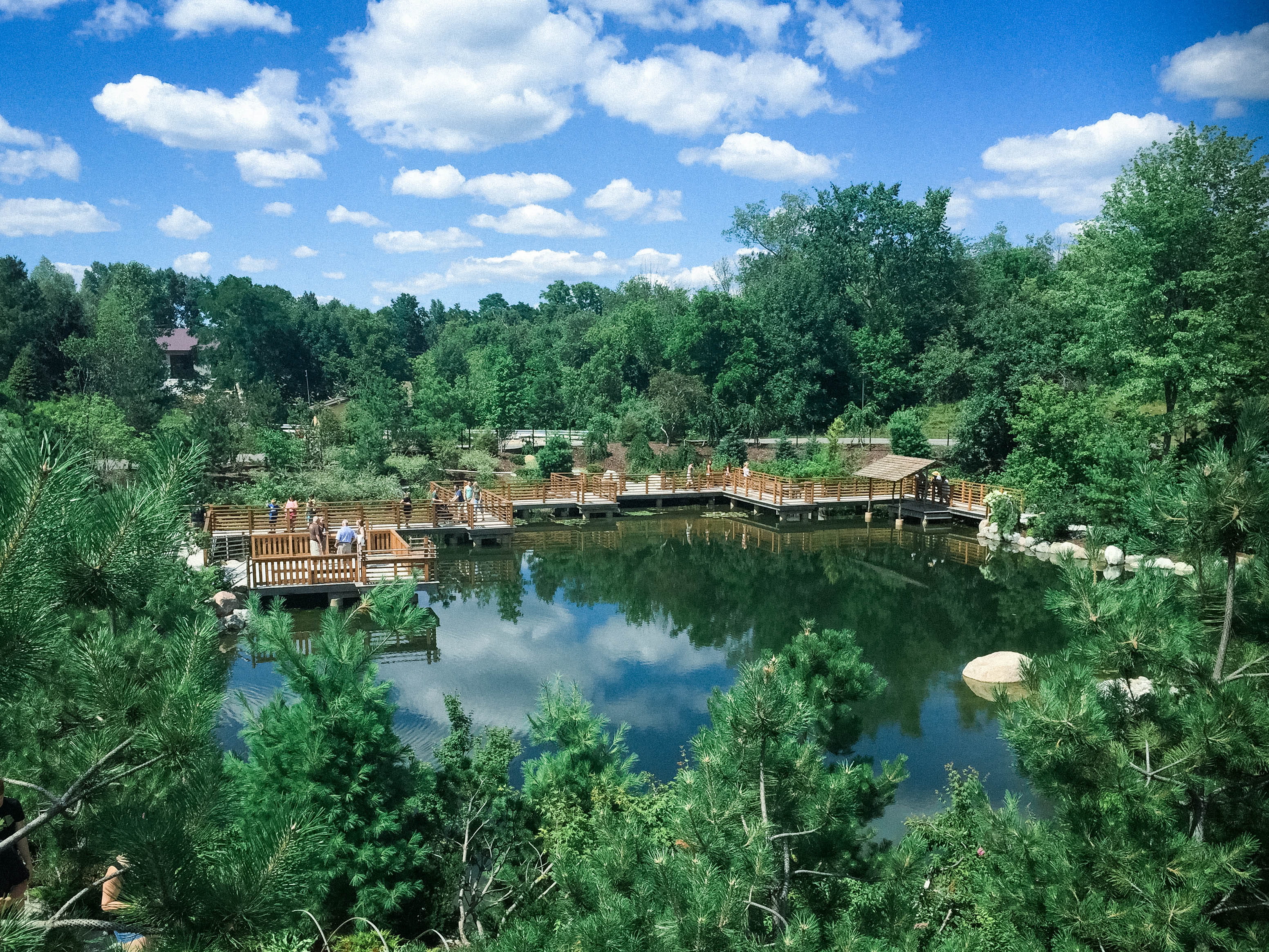 forest, building exterior, architecture, no people, pov, life, tree, tranquility, museum, tranquil scene, lush, water, vibrant, sky, landscape, lake, outdoors, HD Wallpaper