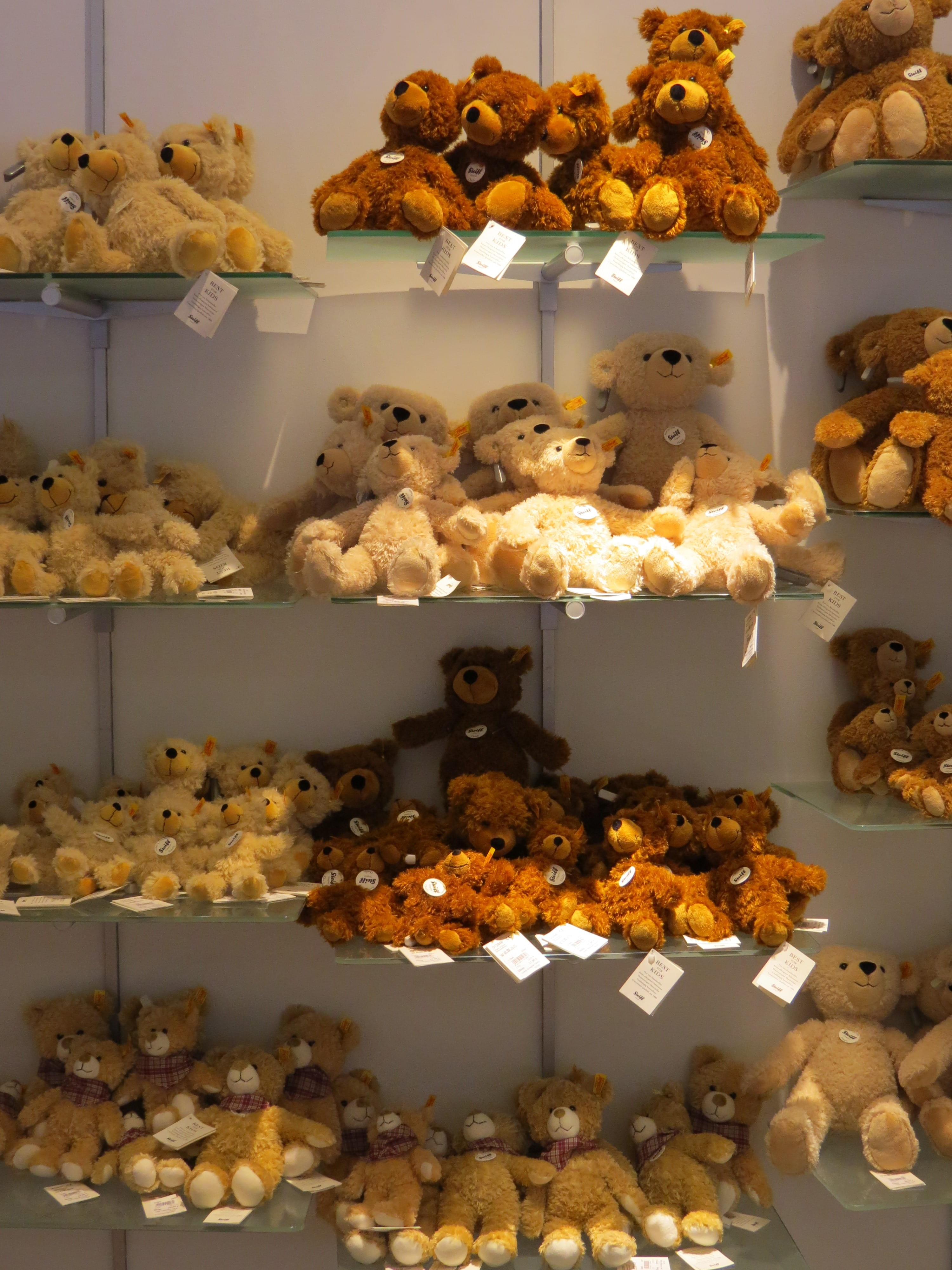 variation, illuminated, indoors, high angle view, choice, shopping, museum, souvenir, play, snuggle, purchase, 4K, steiff tierchen, food and drink, teddy bear, Phone HD Wallpaper