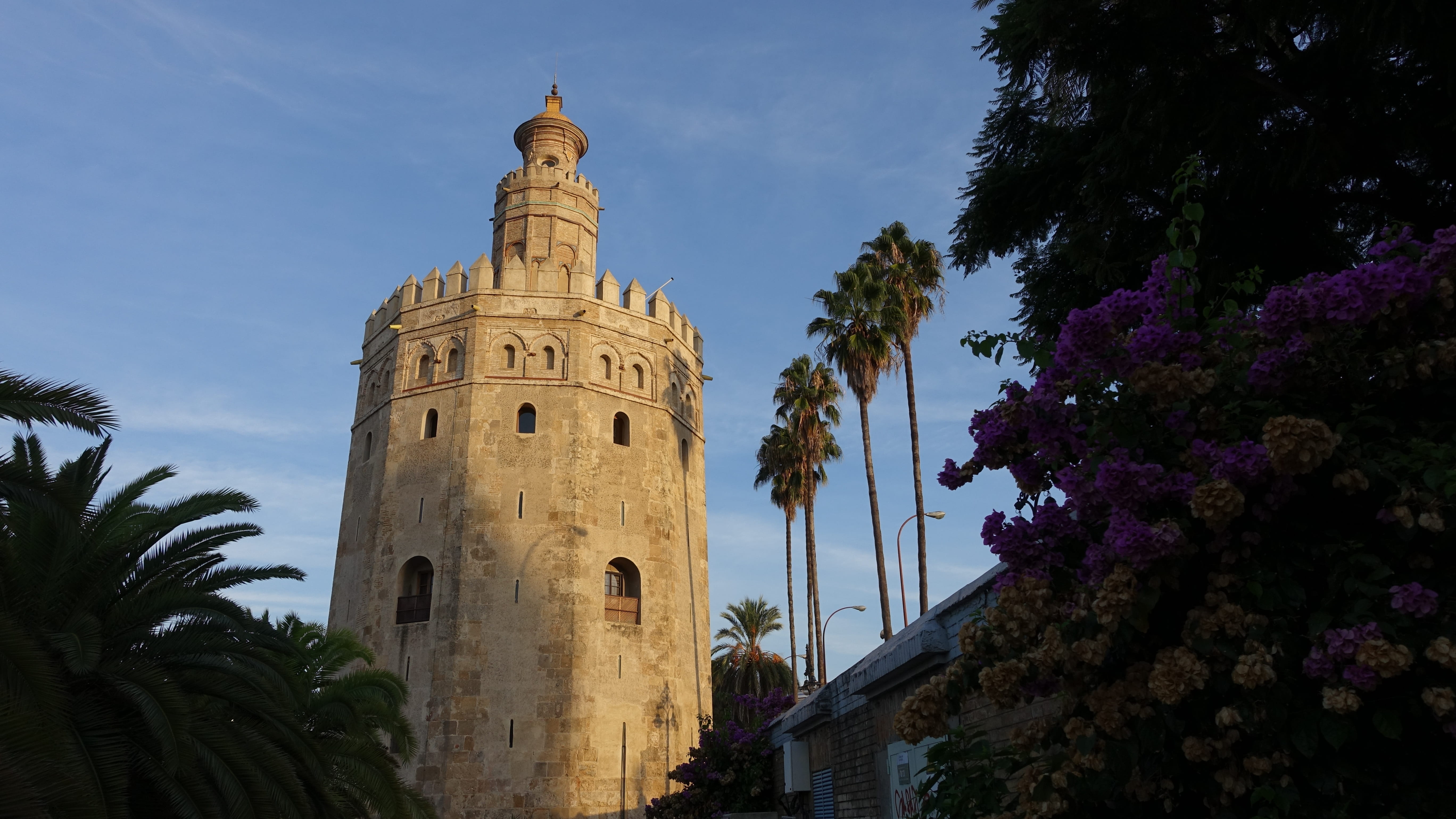 golden tower, growth, the history of the, tree, no people, religion, built structure, tower, torre del oro, the morning sun, building exterior, palm tree, HD Wallpaper