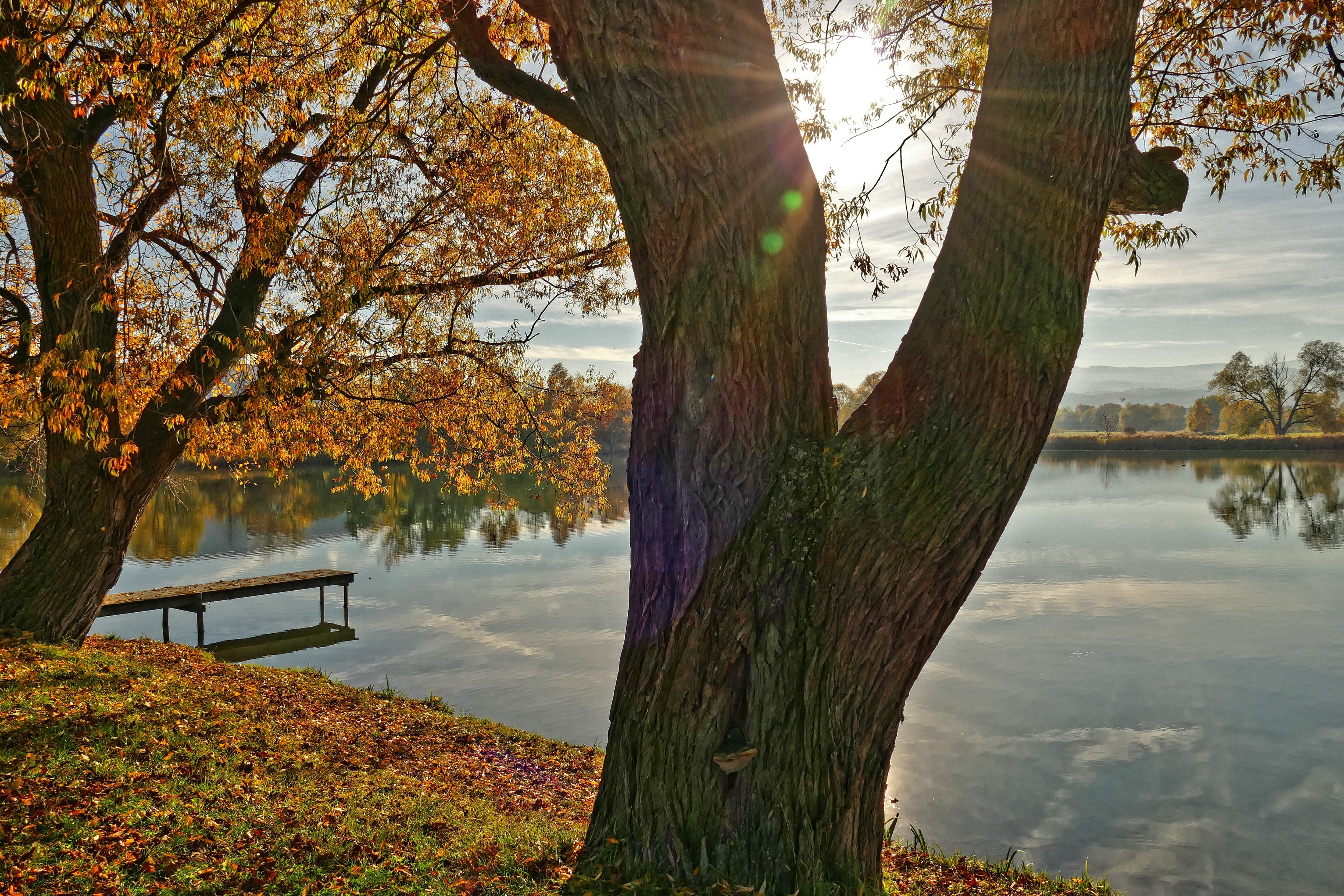 no people, day, water, tree, growth, reflection, tranquility, lake, mill pond, sky, beauty in nature, autumn, nature, wernigerode, plant, branch, emerge, HD Wallpaper