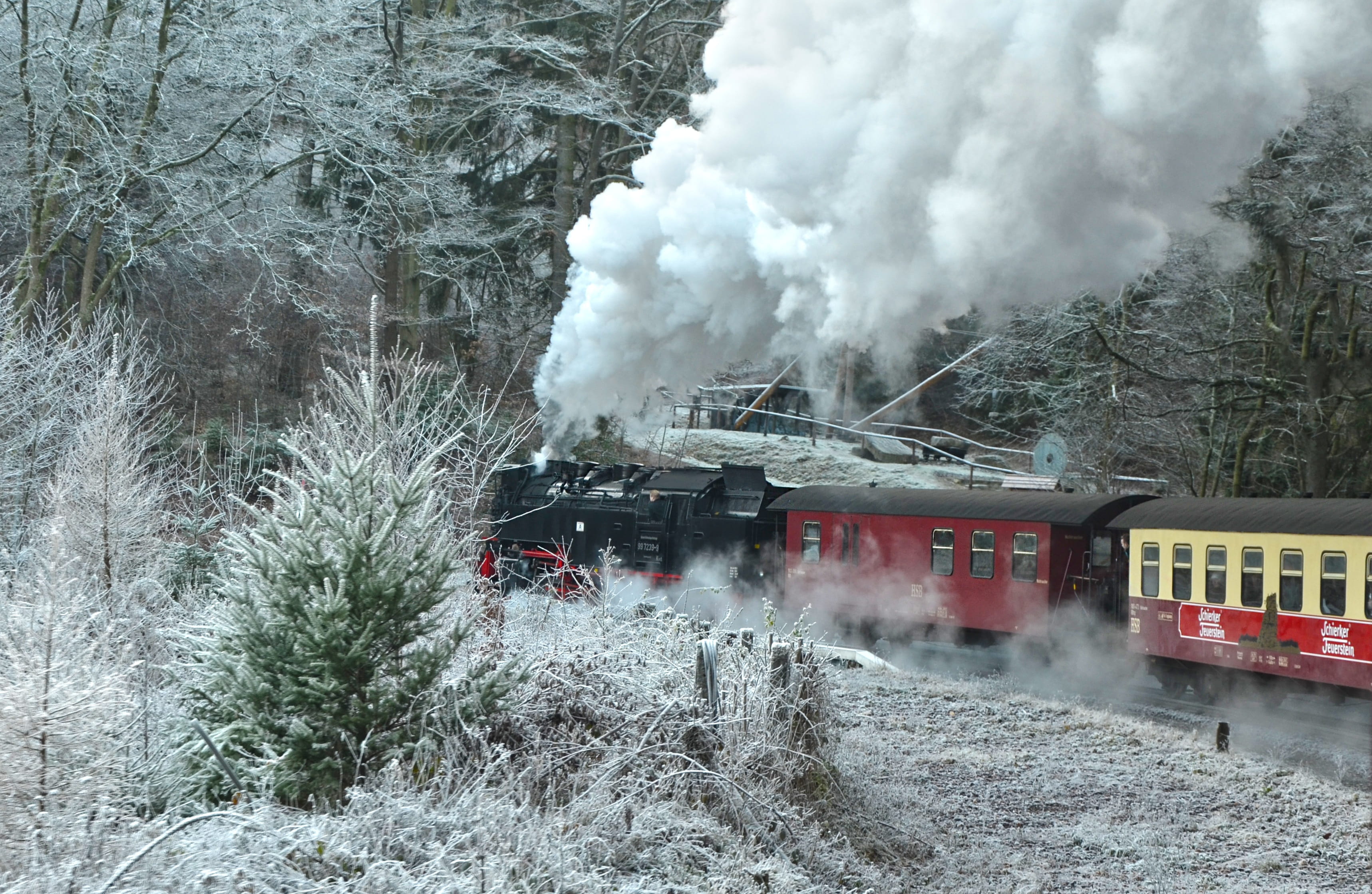 smoke - Physical Structure, tree, transportation, train - vehicle, steam, railroad Track, pollution, plant, fire - Natural Phenomenon, narrow gauge, emitting, HD Wallpaper