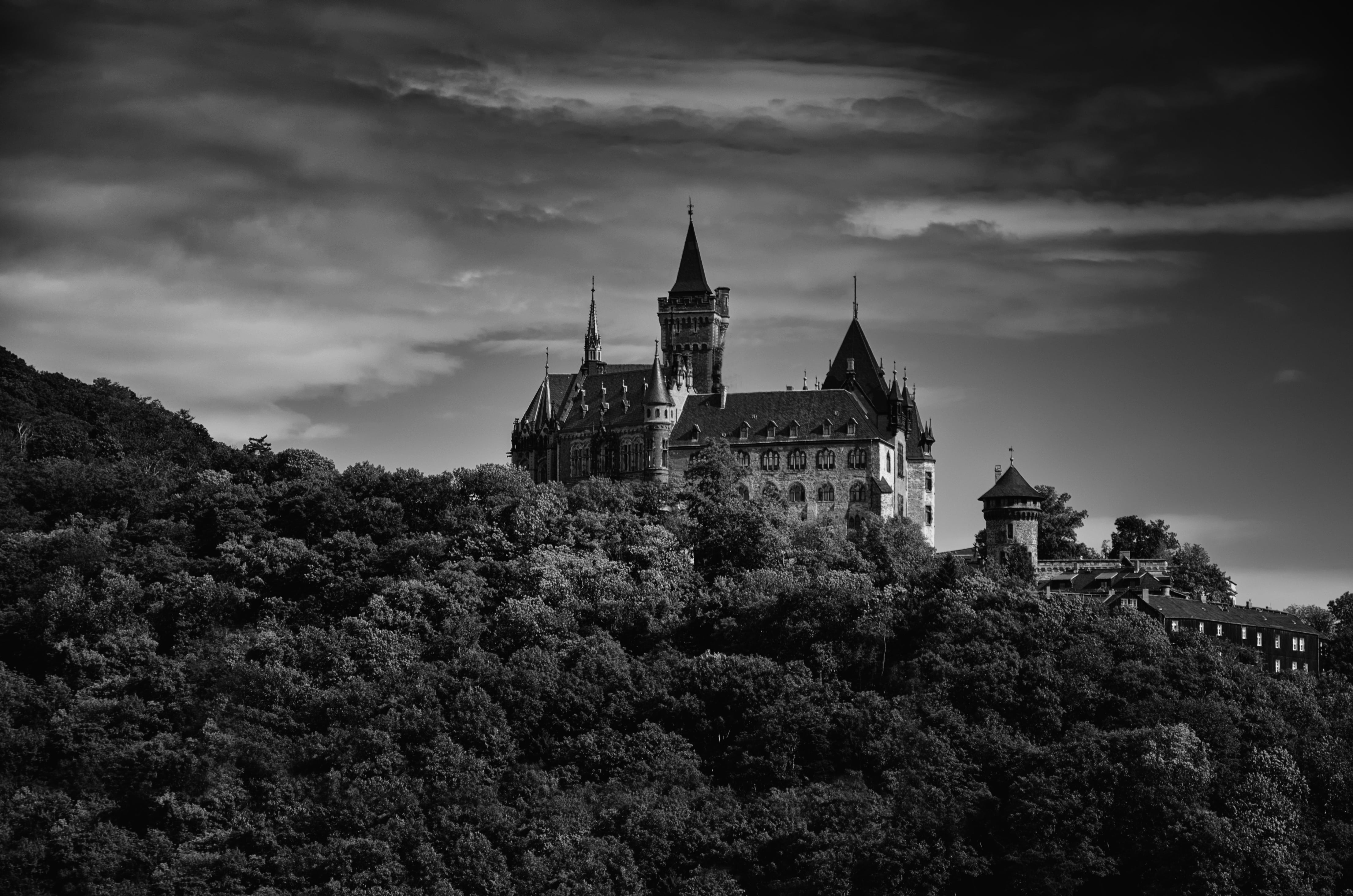 knights castle, black and white, building exterior, tree, famous Place, plant, nature, abbey, religion, outdoors, history, architecture, fortress, resin, HD Wallpaper