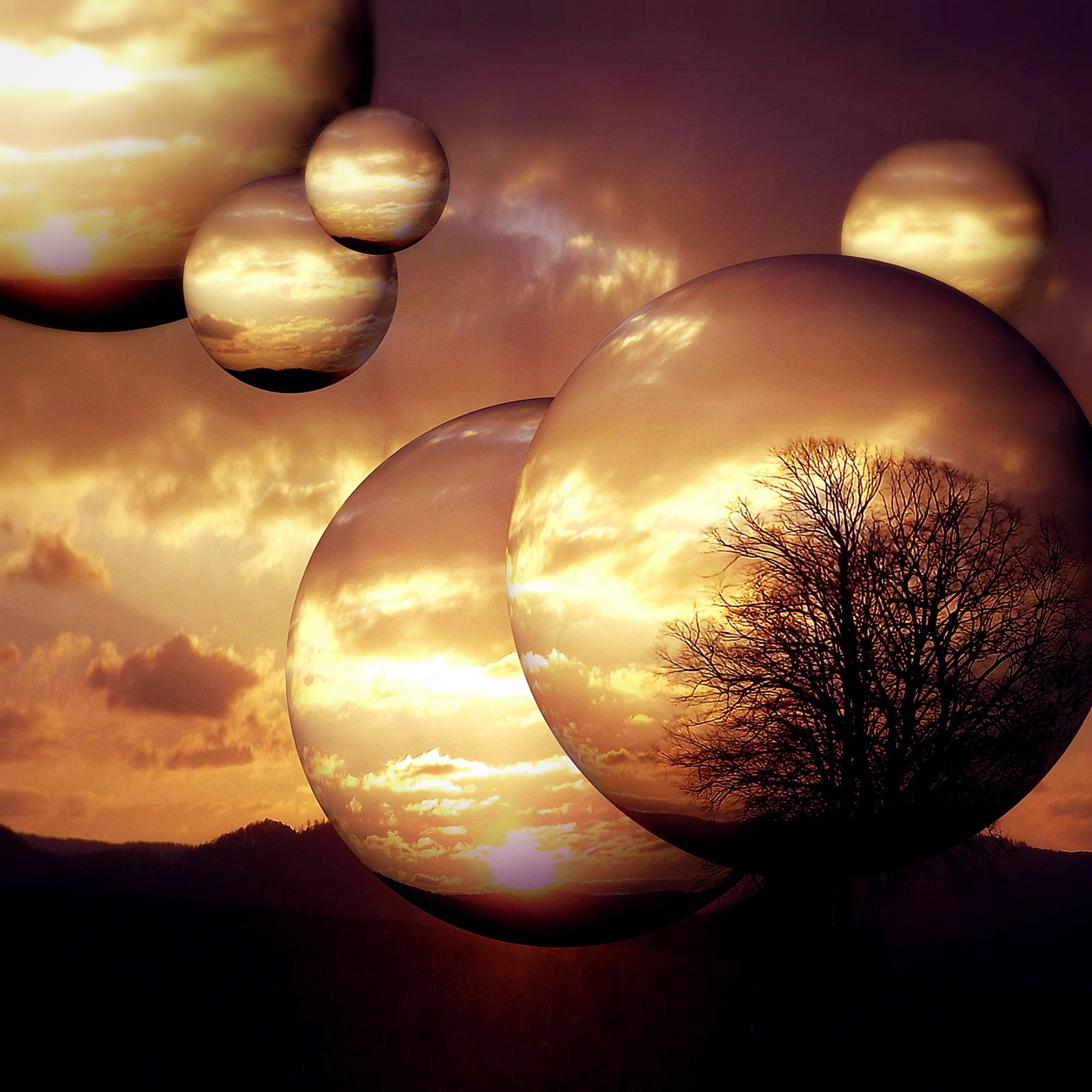 outdoors, environment, inside, nature, shape, lighting, plant, planet, atmospheric, silhouette, photo montage, tranquility, evening sky, 1080P, beauty in nature, Phone HD Wallpaper
