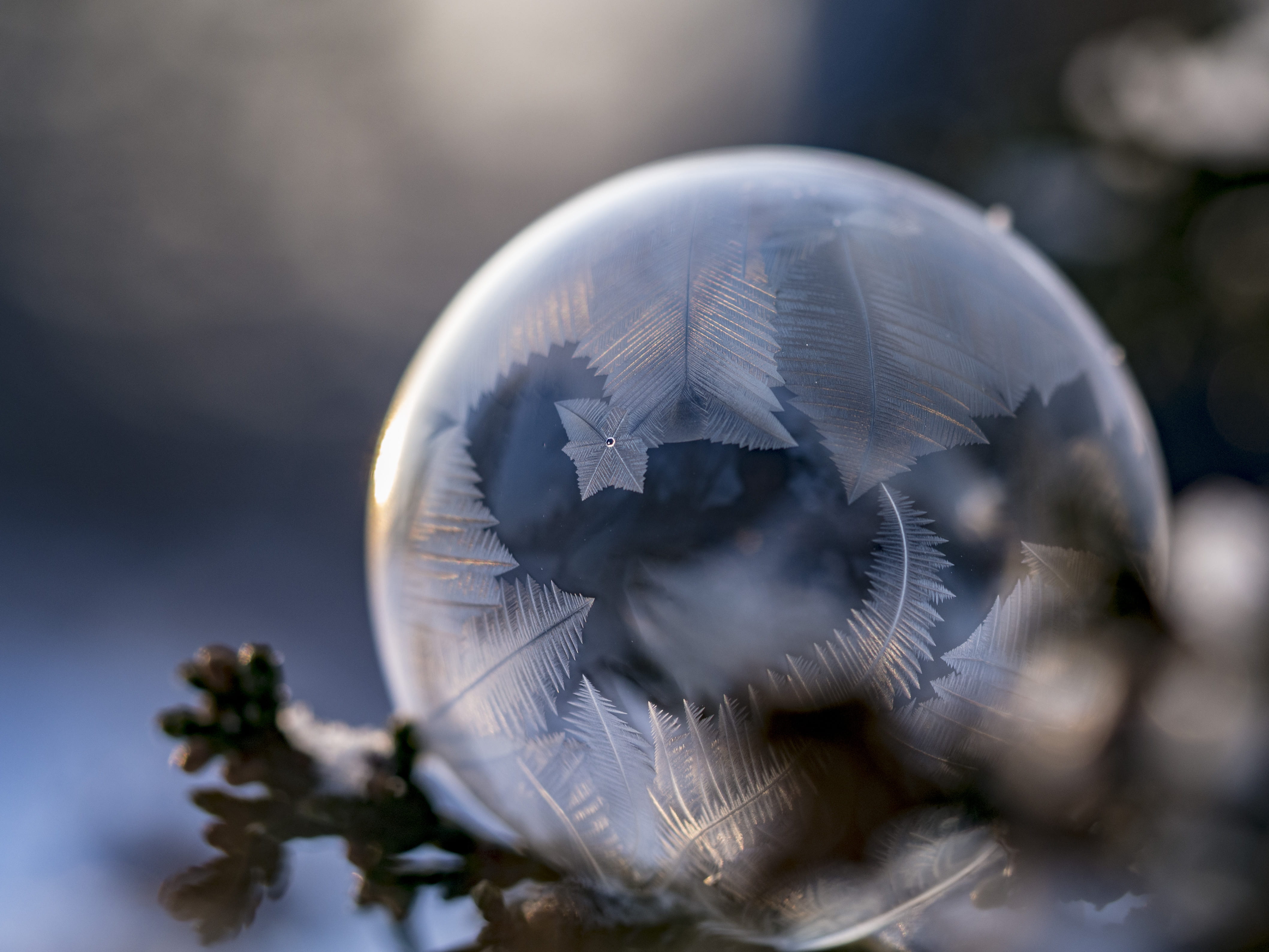 ball, ornament, dew, glass, sphere, glass - material, no people, shape, close-up, frozen, selective, globe, round, planet earth, nature, map, space, digital composite, HD Wallpaper